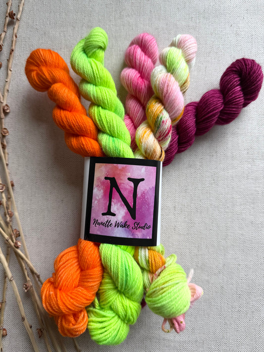 Rainbow Sherbet - SW Merino Nylon Mini Skein Set