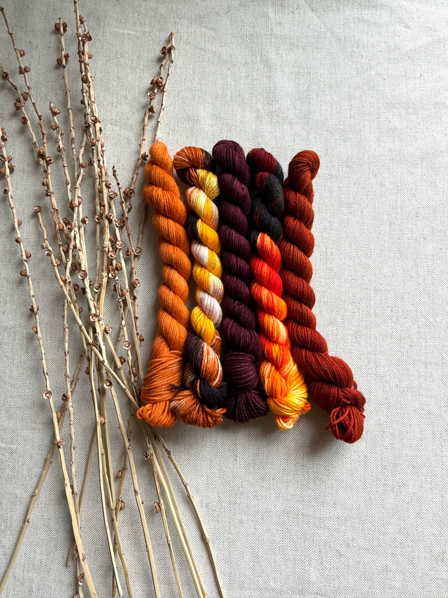 Snap, Crackle - SW Merino Nylon Mini Skein Set