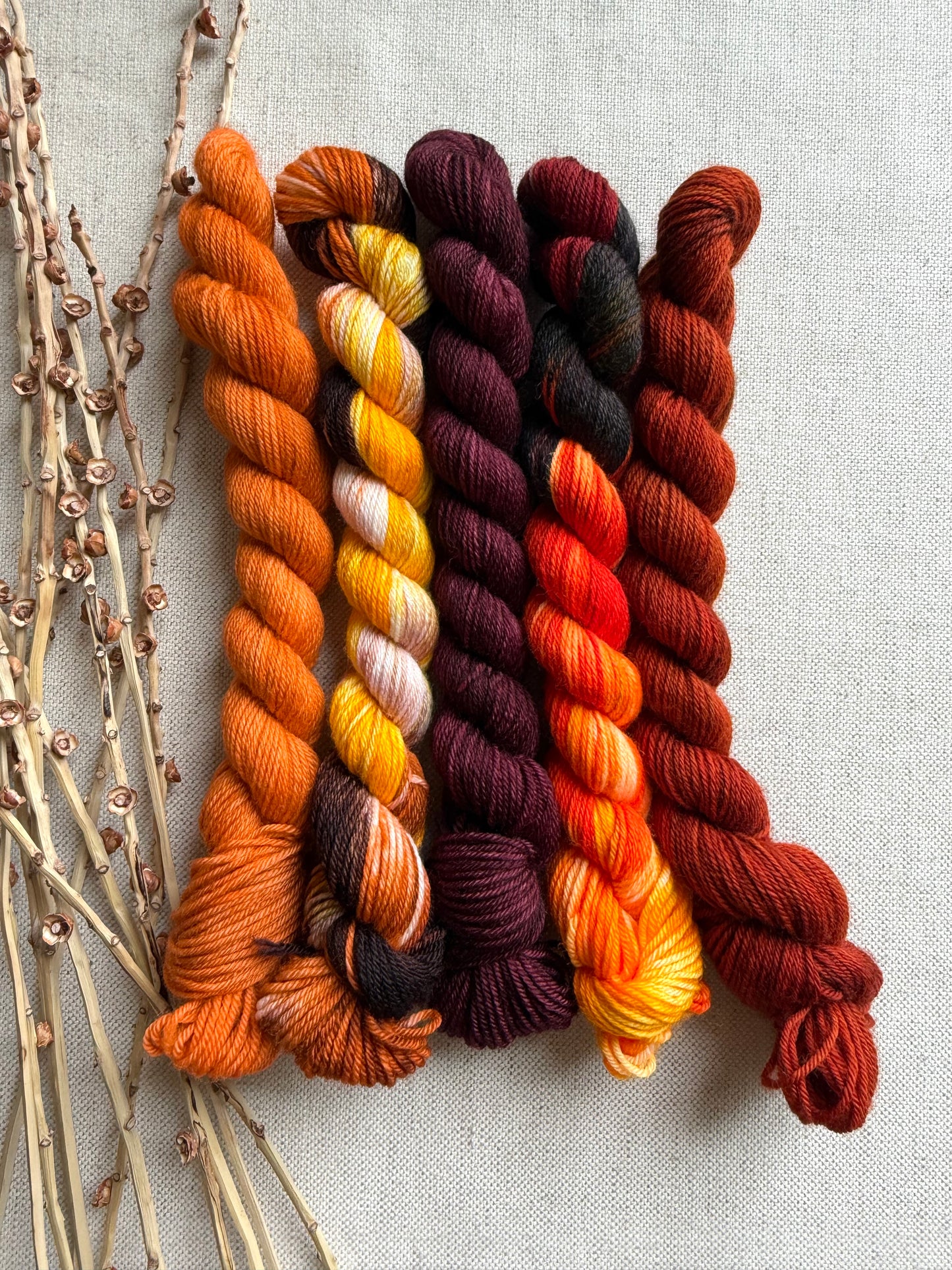 Snap, Crackle - SW Merino Nylon Mini Skein Set
