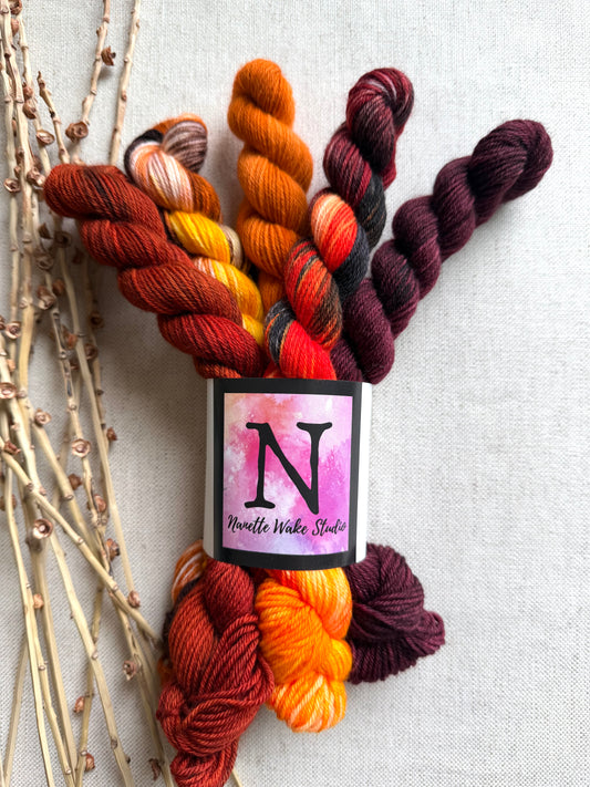 Snap, Crackle - SW Merino Nylon Mini Skein Set