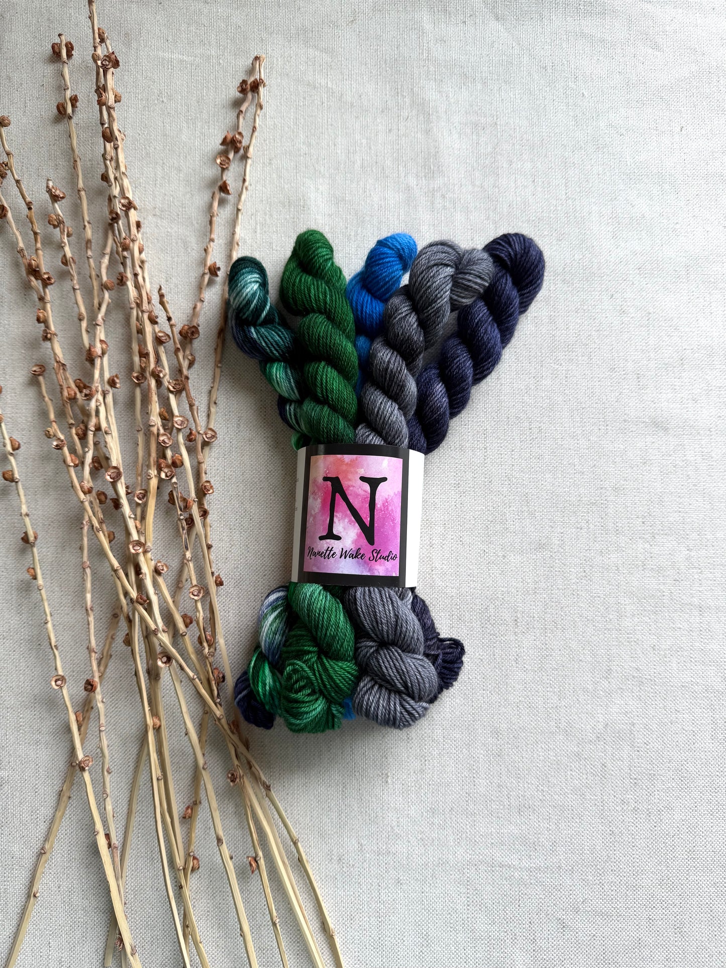 Mt. Olympus - A Washington State Colorway - SW Merino Nylon Mini Skein Set