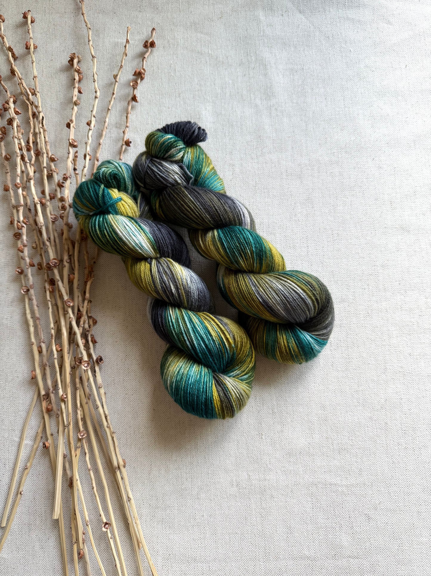 Tolmie State Park - A Washington State Colorway 100g Skein