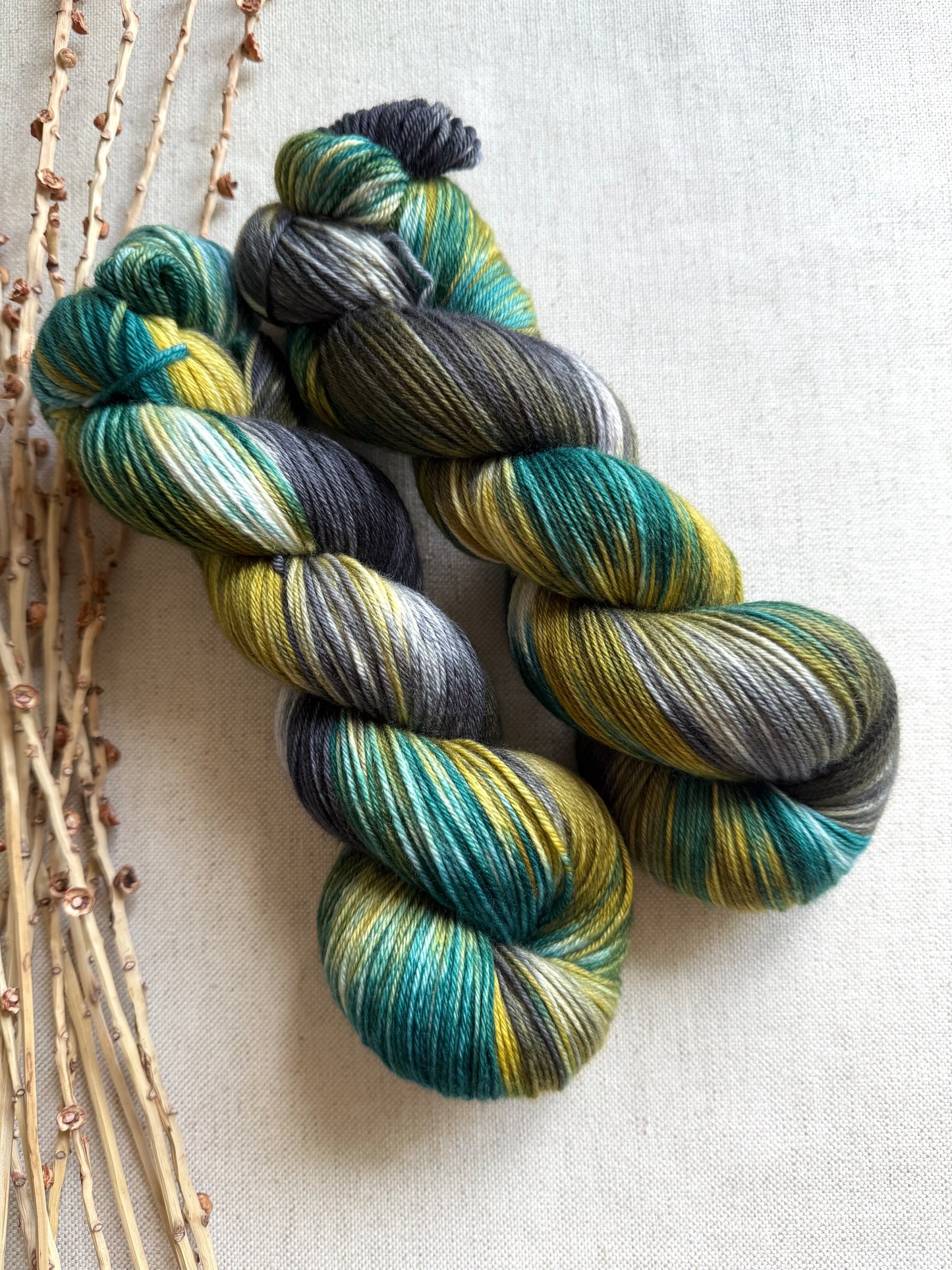Tolmie State Park - A Washington State Colorway 100g Skein