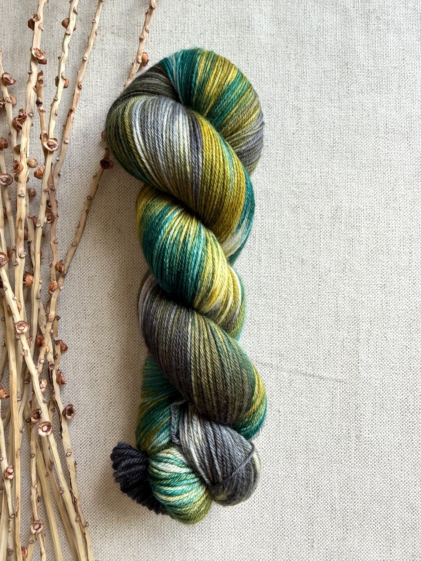 Tolmie State Park - A Washington State Colorway 100g Skein
