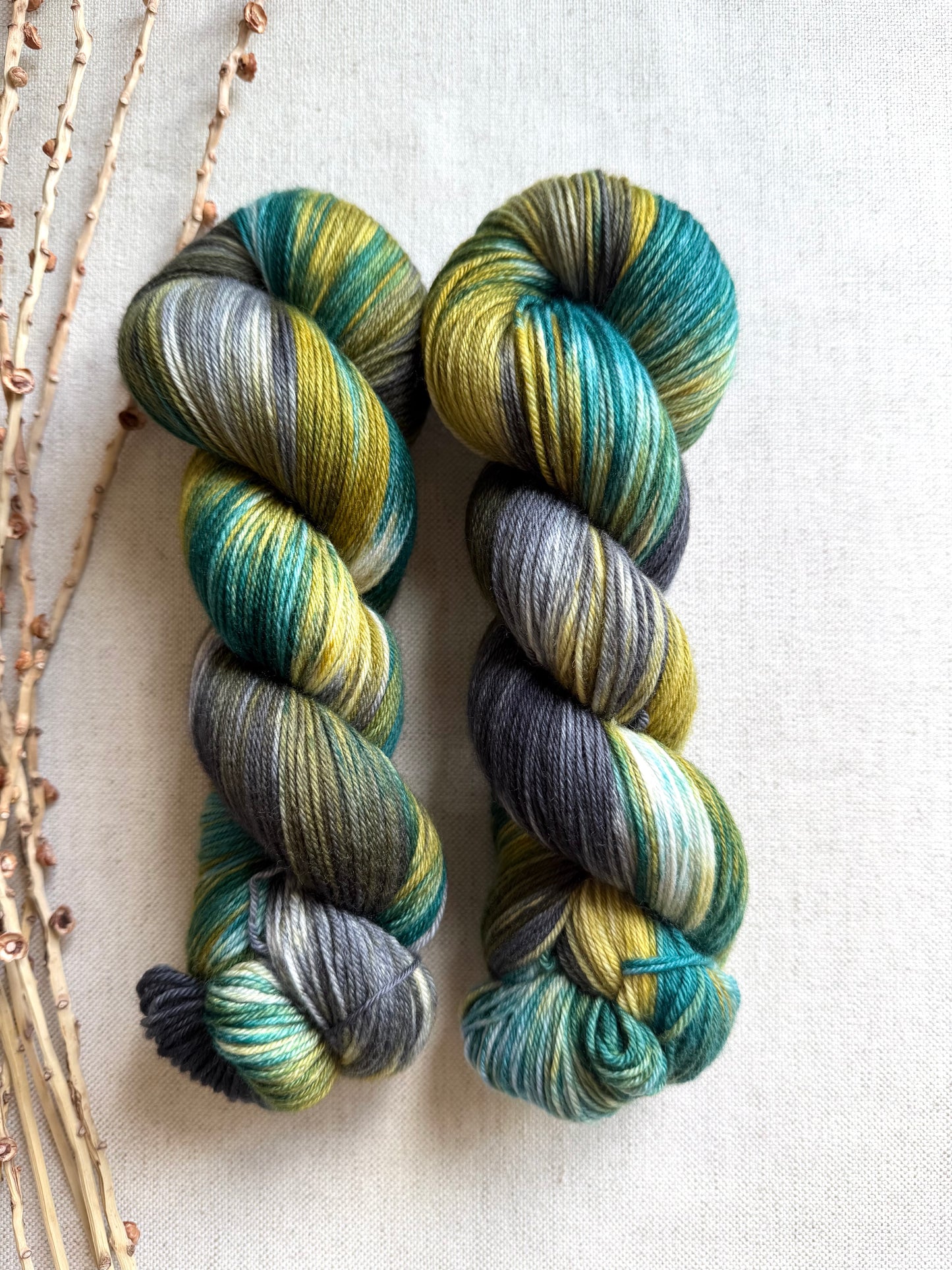 Tolmie State Park - A Washington State Colorway 100g Skein