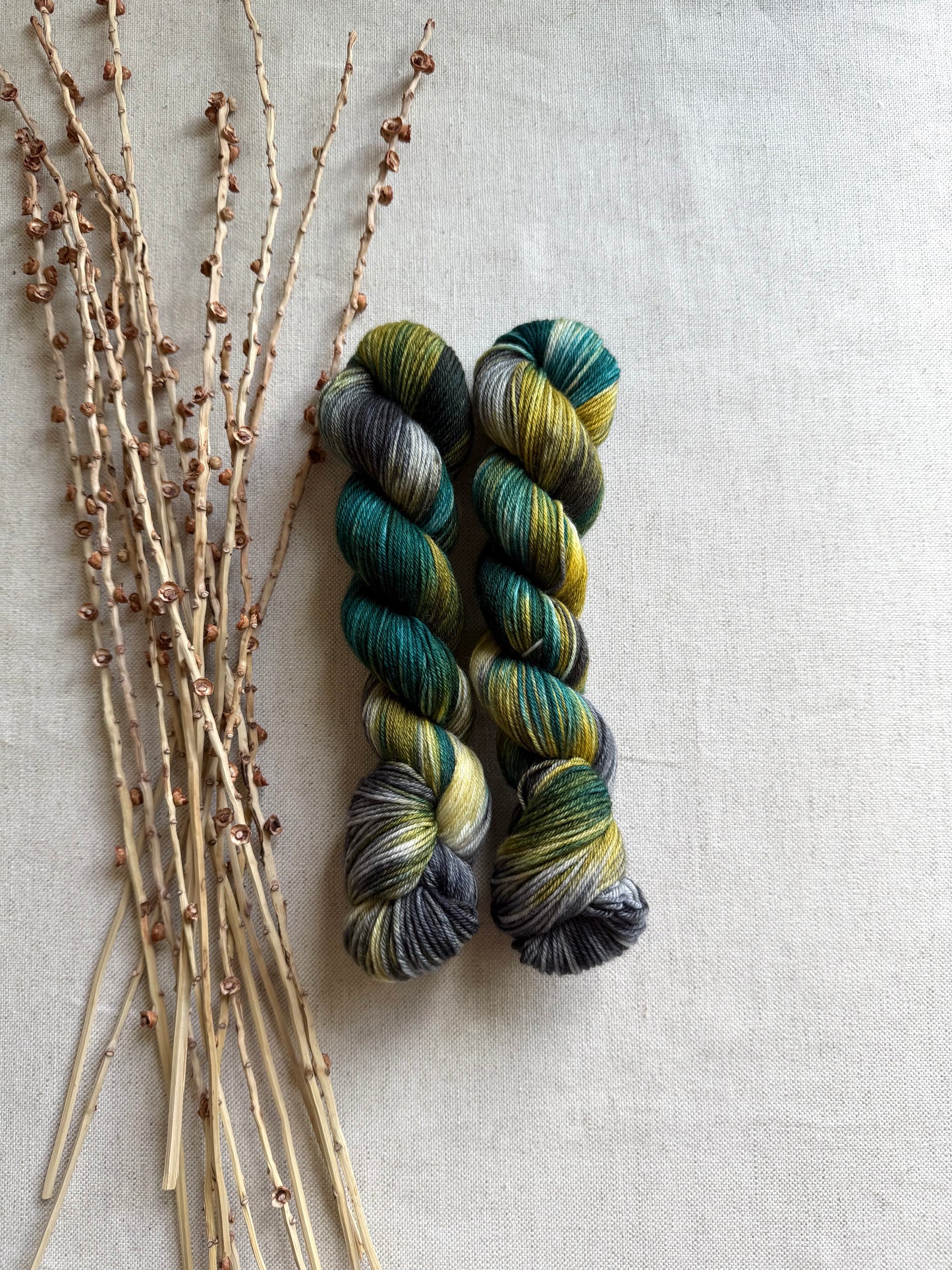 Tolmie State Park - A Washington State colorway SW Merino Nylon 50g Skein