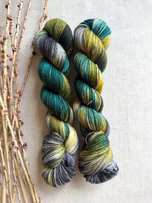 Tolmie State Park - A Washington State colorway SW Merino Nylon 50g Skein