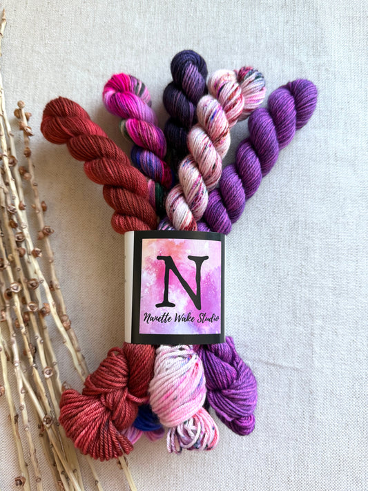 Little Diva - SW Merino Nylon Mini Skein Set