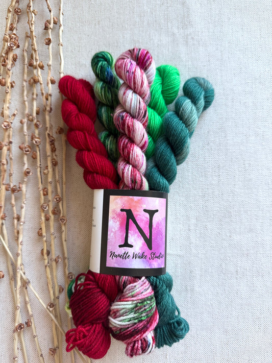 Kris Kringle - SW Merino Nylon Mini Skein Set