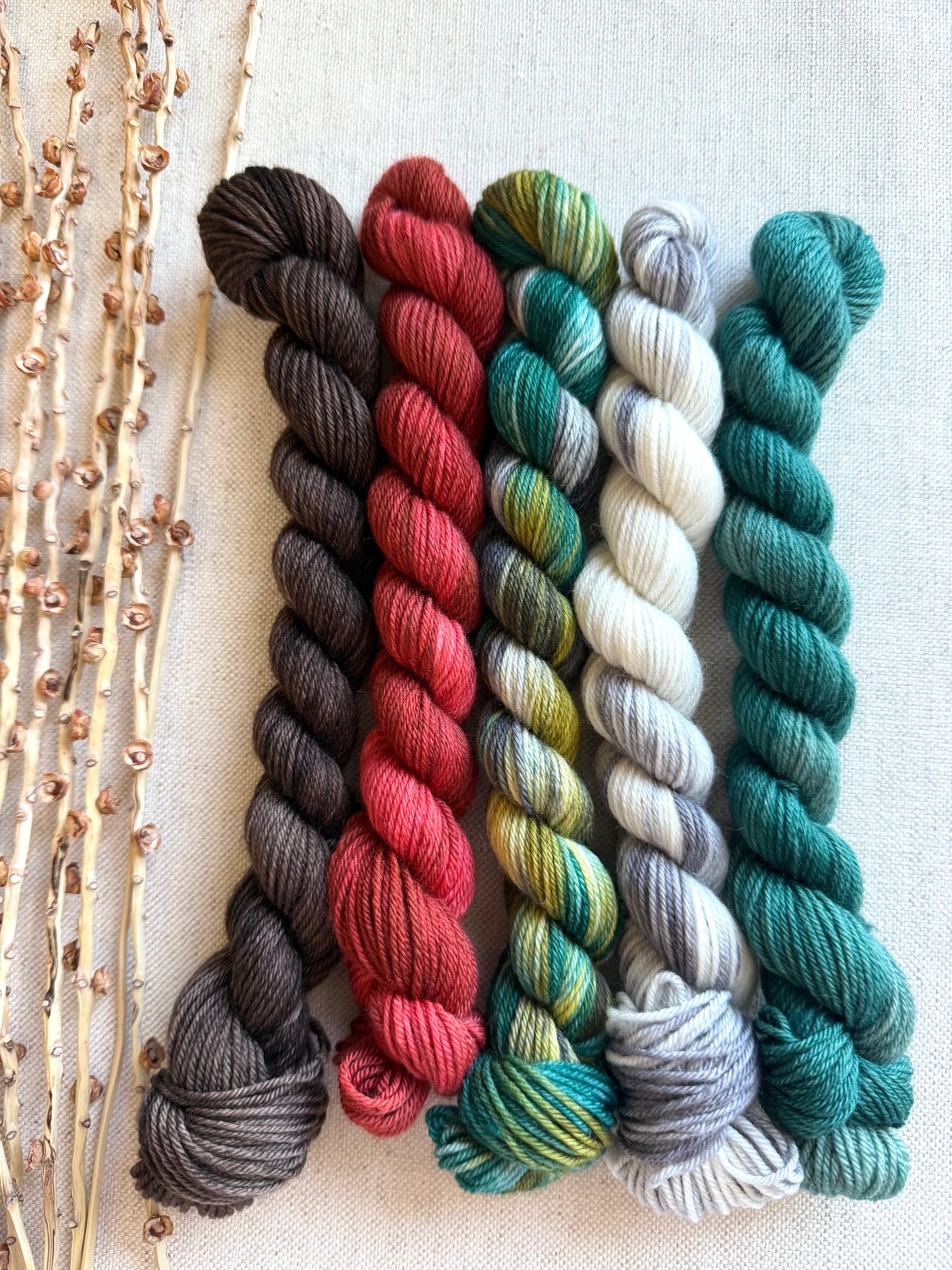 Tolmie State Park - A Washington State Colorway - SW Merino Nylon Mini Skein Set