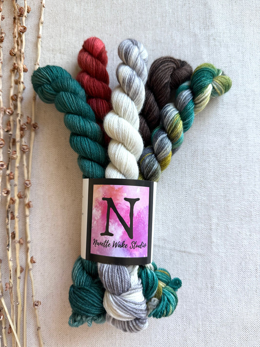 Tolmie State Park - A Washington State Colorway - SW Merino Nylon Mini Skein Set