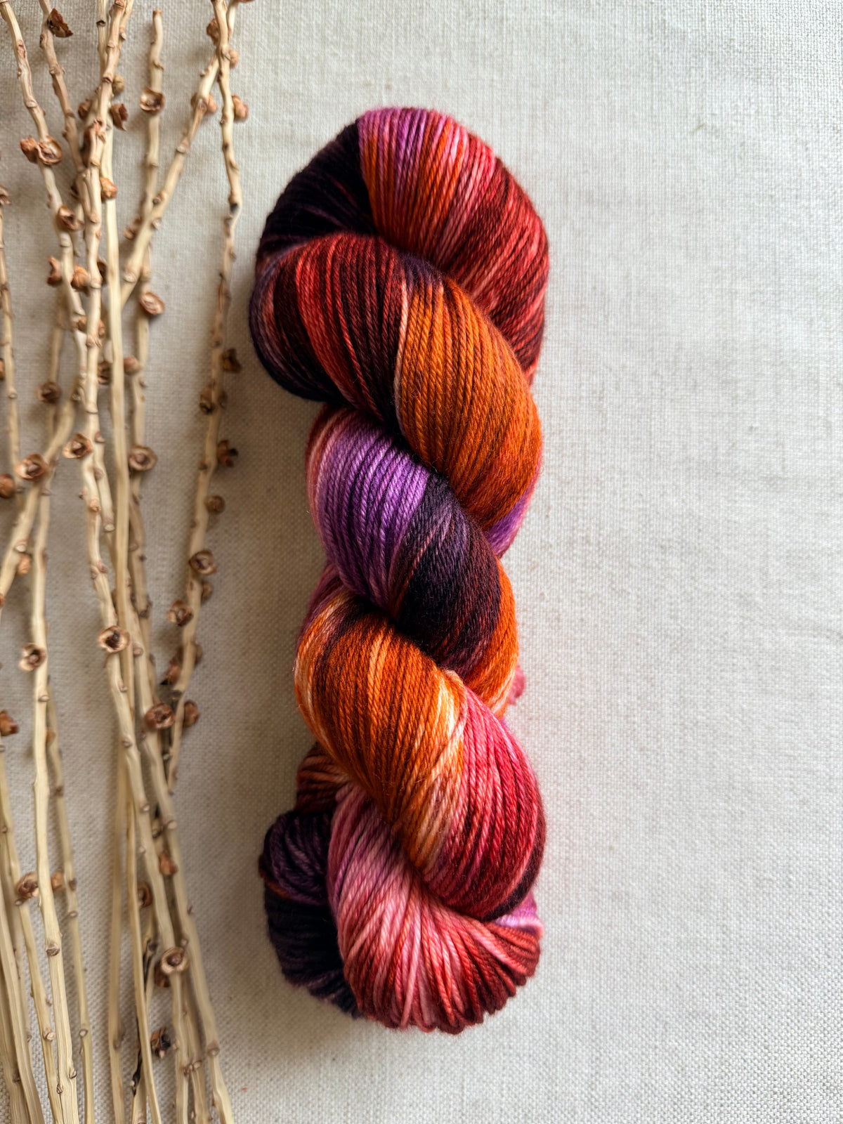 Gingersnaps SW Merino Nylon 100g