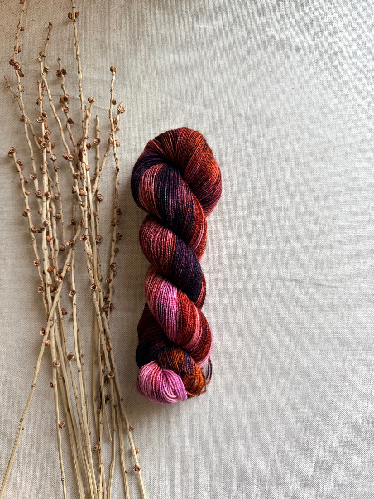 Gingersnaps - SW Wool Recycled Nylon 100g