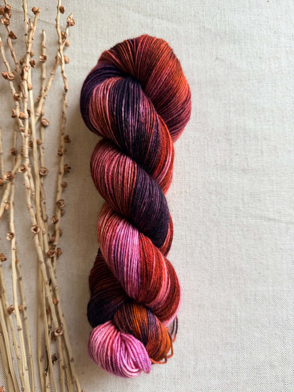 Gingersnaps - SW Wool Recycled Nylon 100g