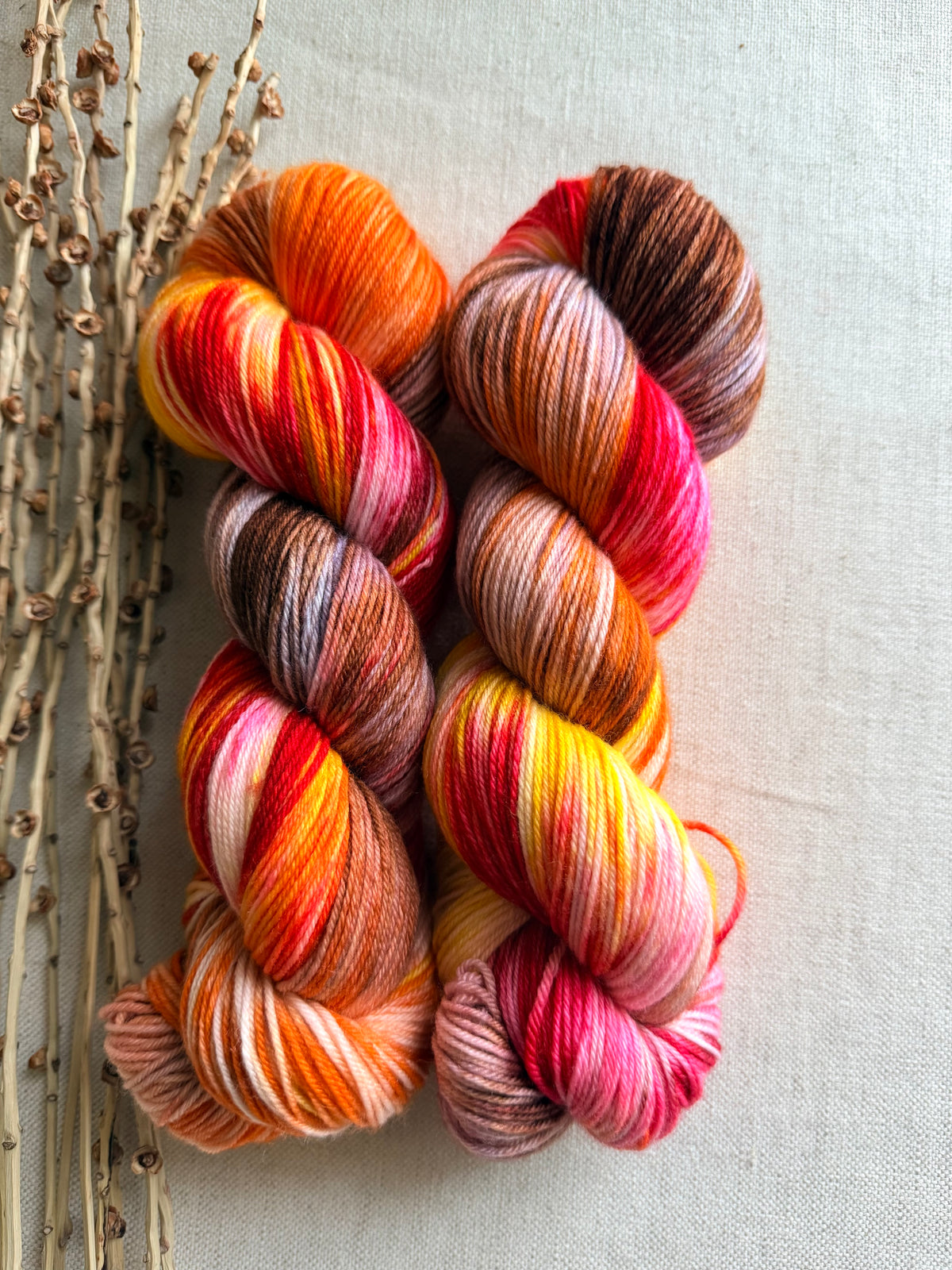 Fall In The PNW SW Merino Nylon 100g