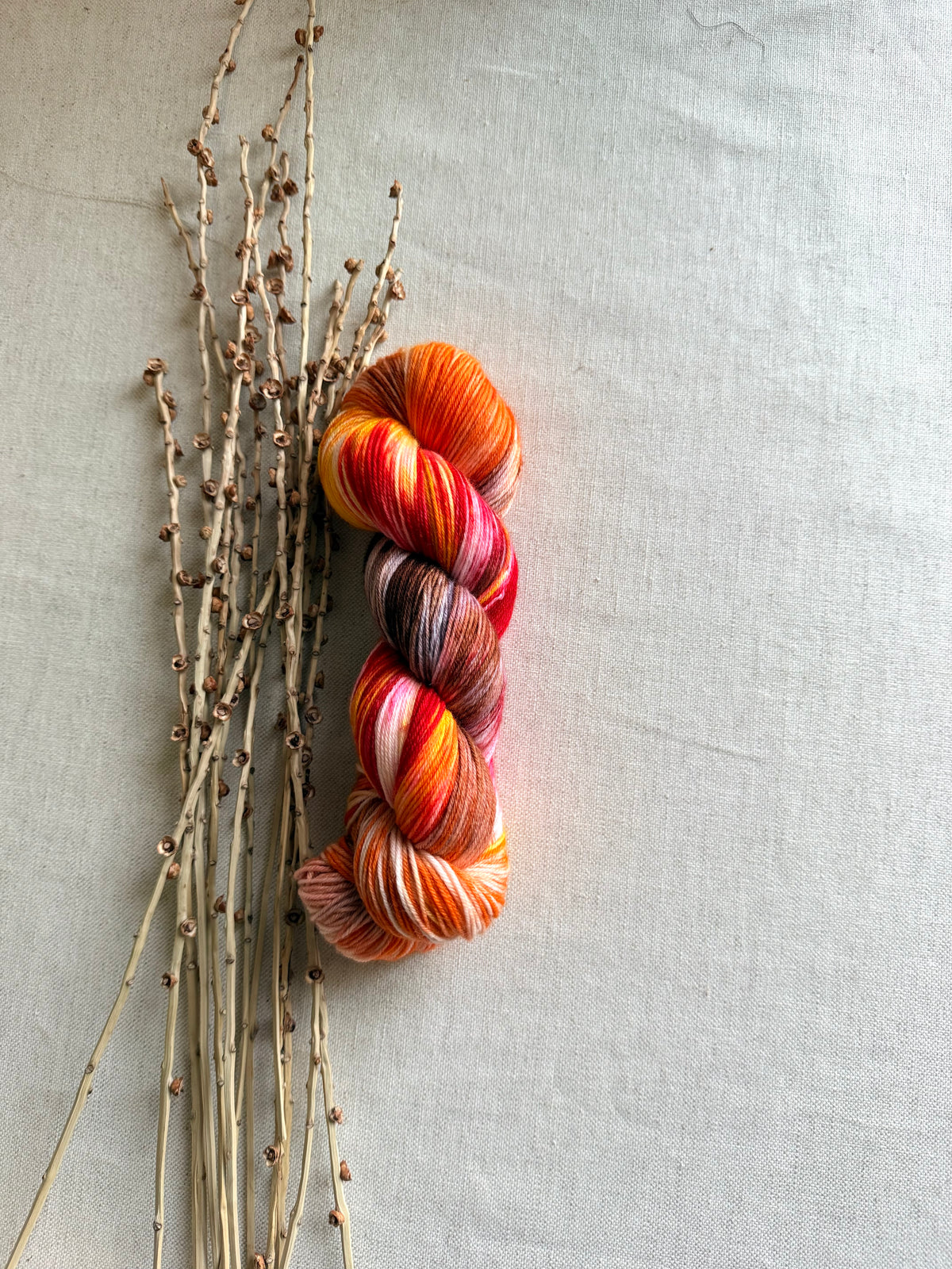 Fall In The PNW SW Merino Nylon 100g