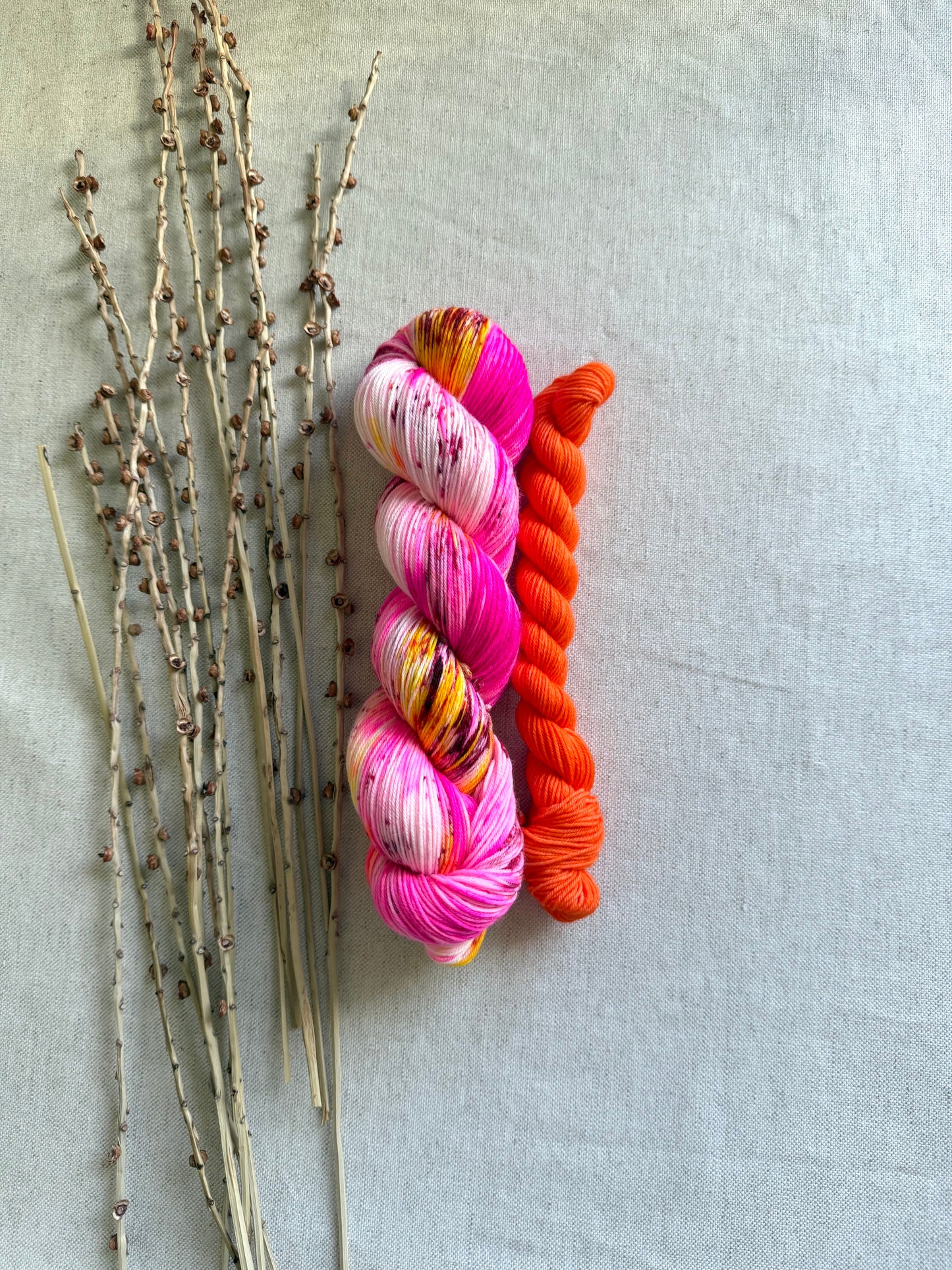 Neon Polish Sock Set