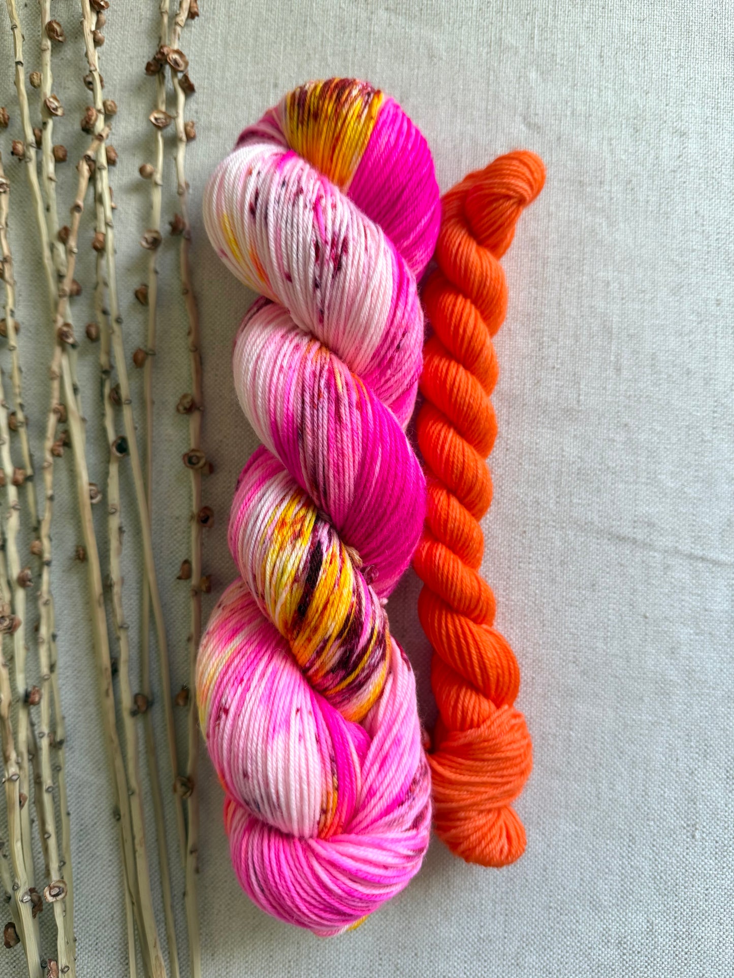 Neon Polish Sock Set