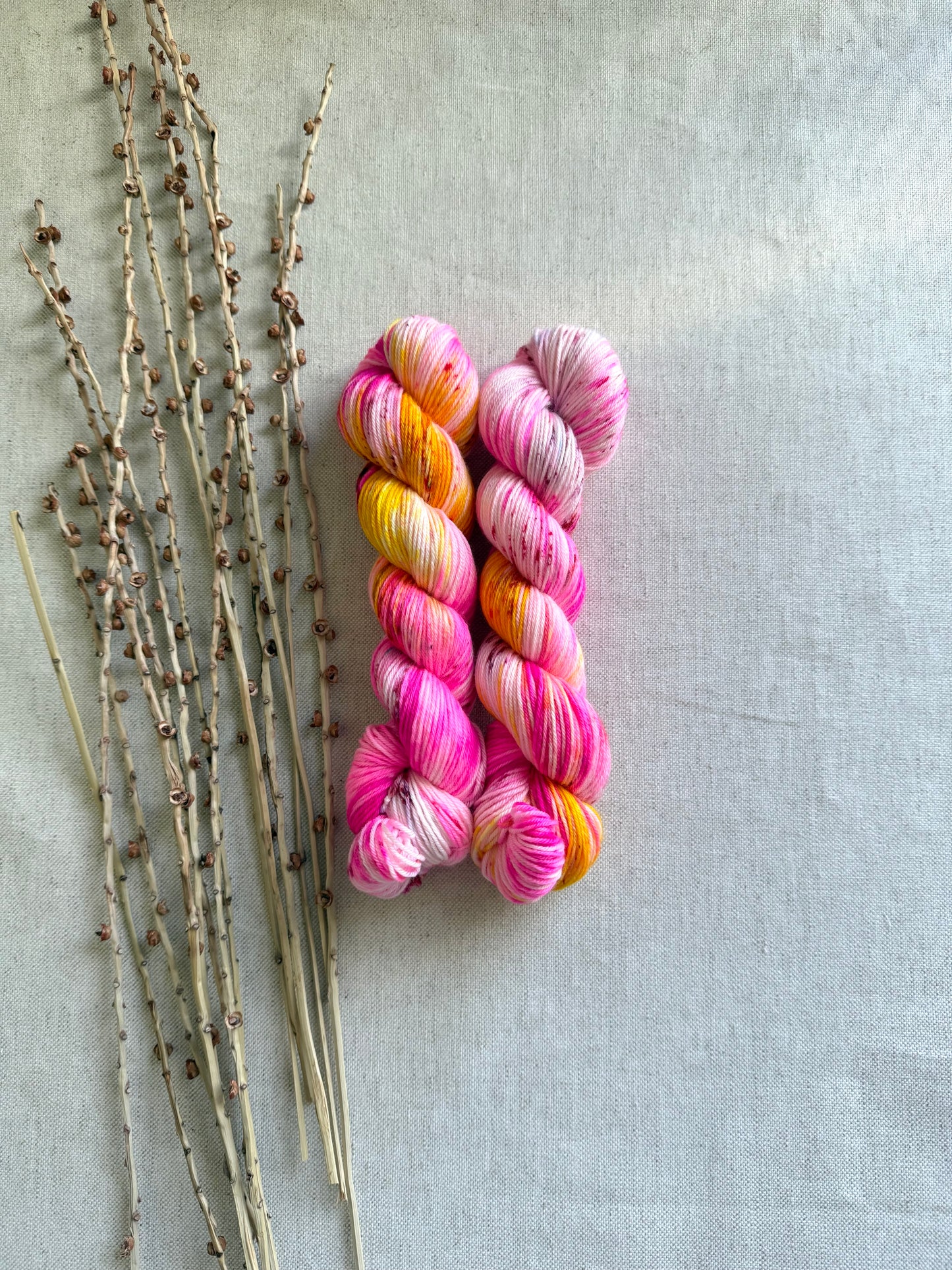 Neon Polish SW Merino Nylon 50g Skein