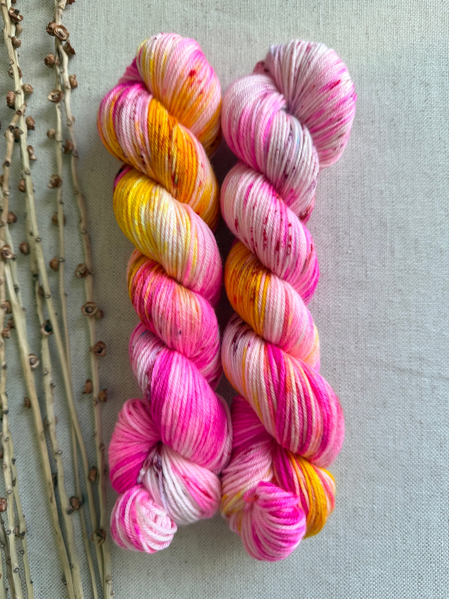 Neon Polish SW Merino Nylon 50g Skein
