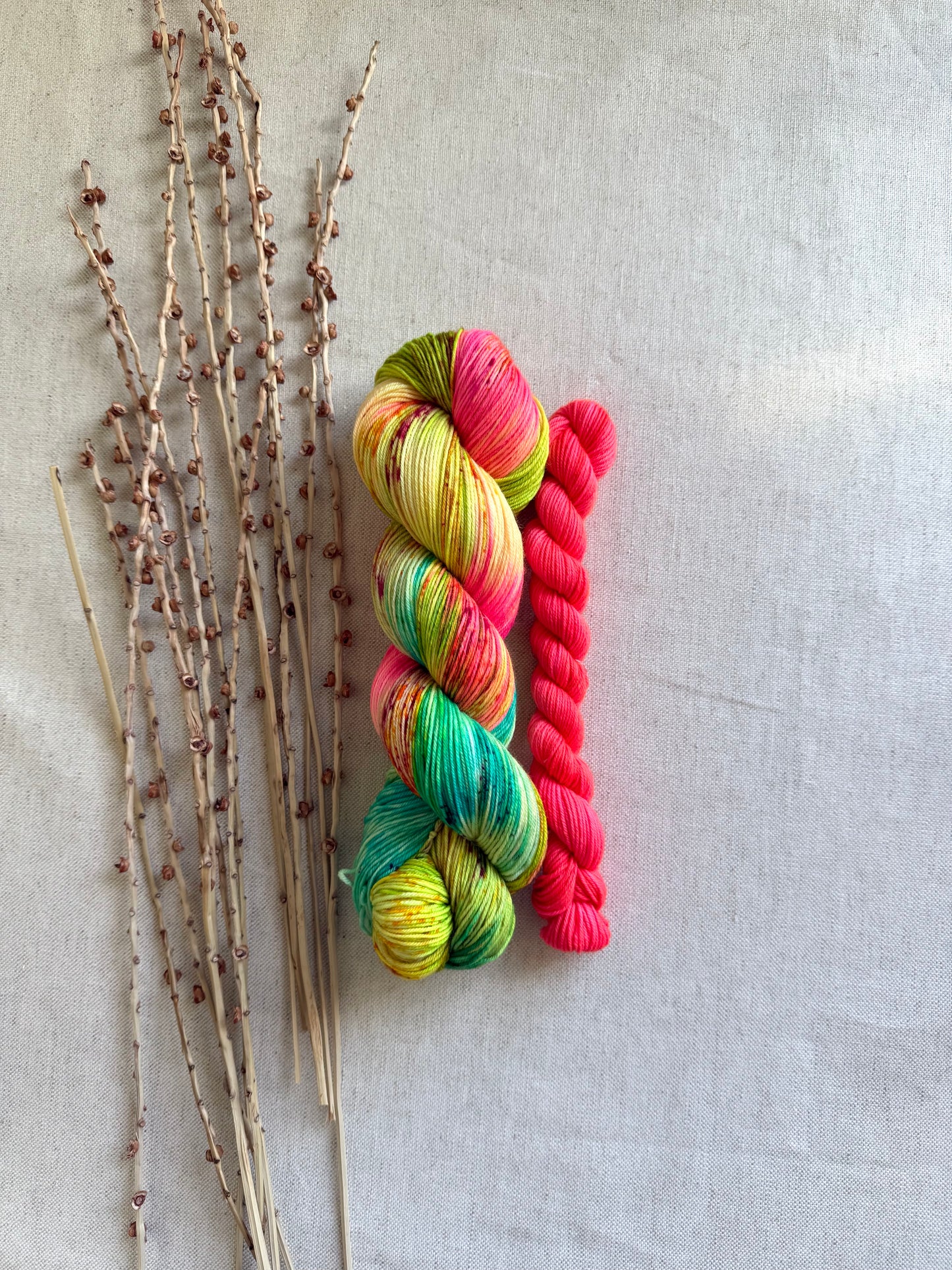 South Pacific Sock Set