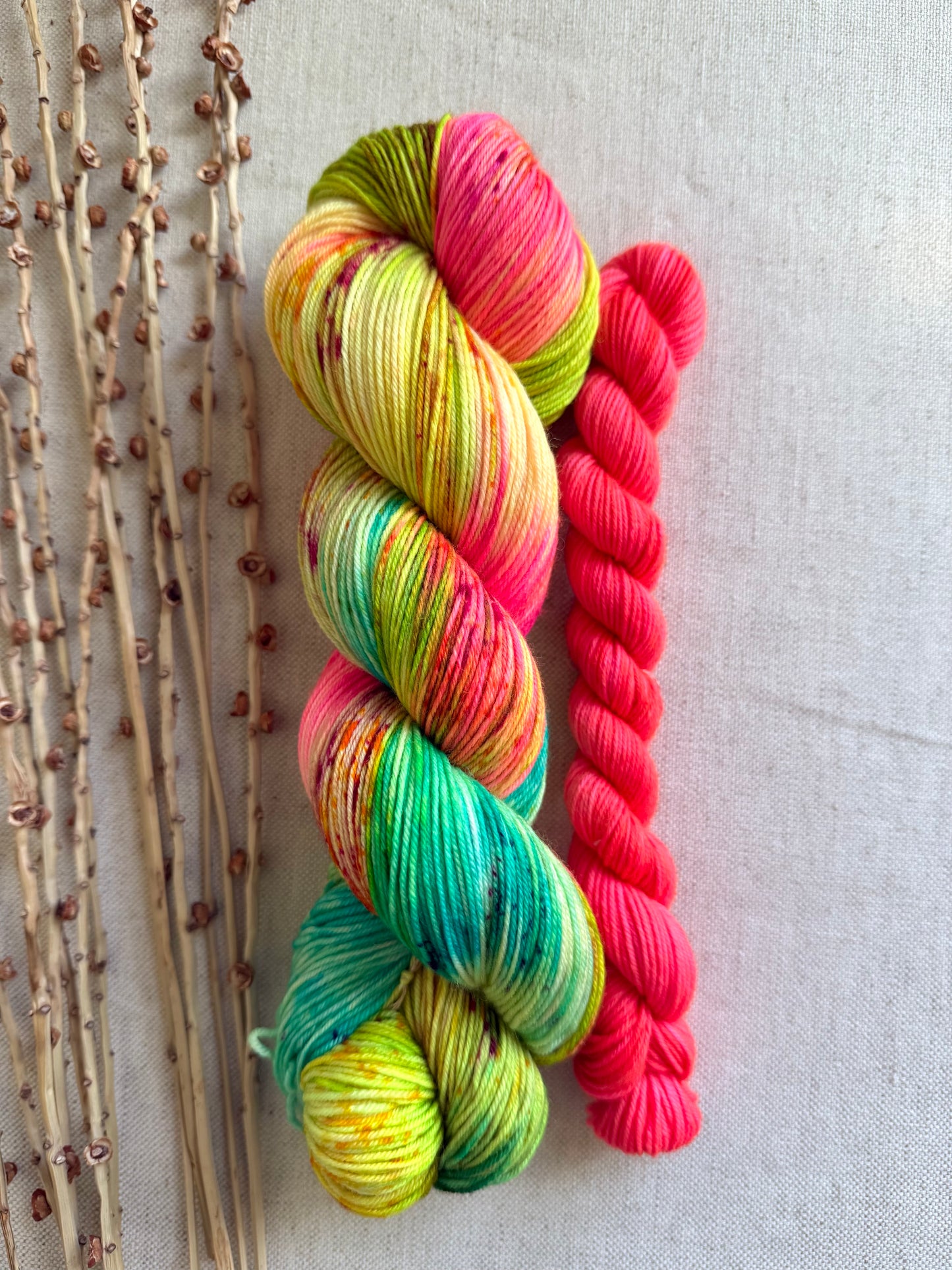 South Pacific Sock Set