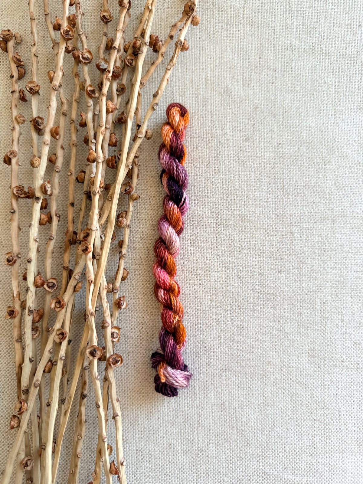 Gingersnaps Embroidery Thread