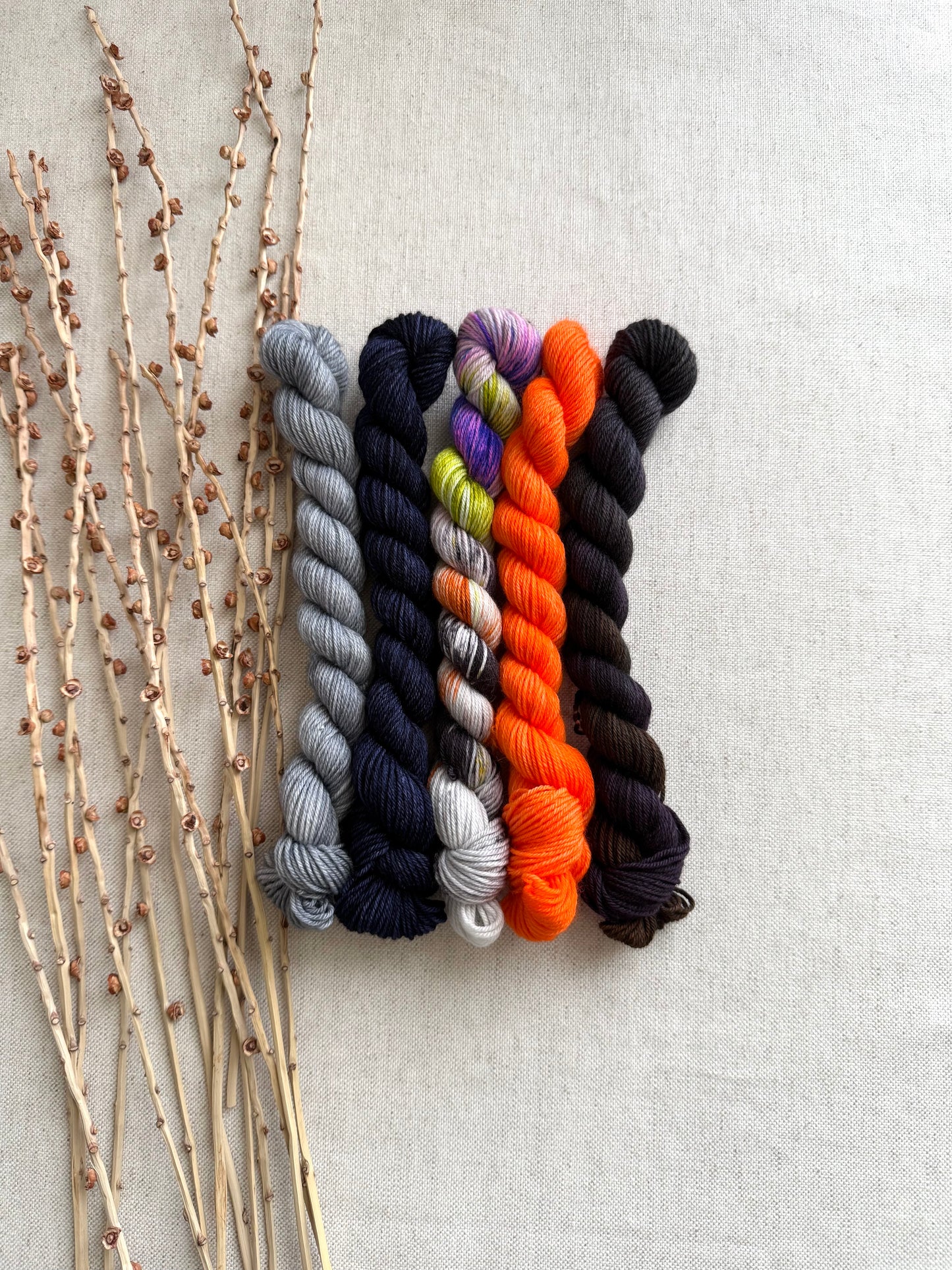 I Am The Pumpkin King - SW Merino Nylon Mini Skein Set