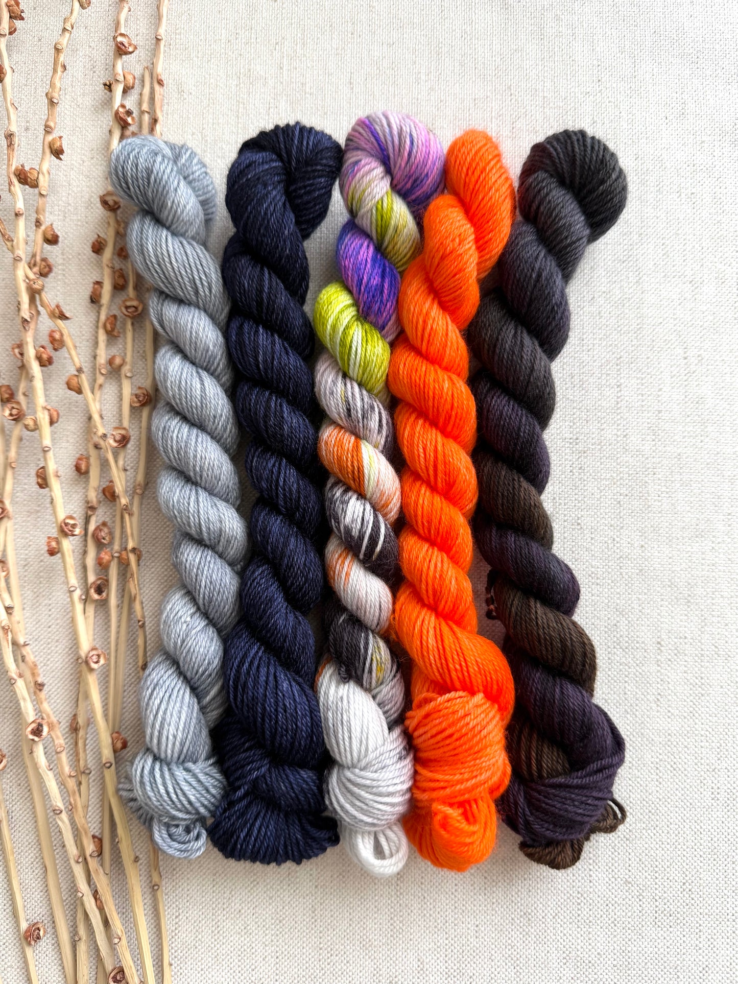 I Am The Pumpkin King - SW Merino Nylon Mini Skein Set