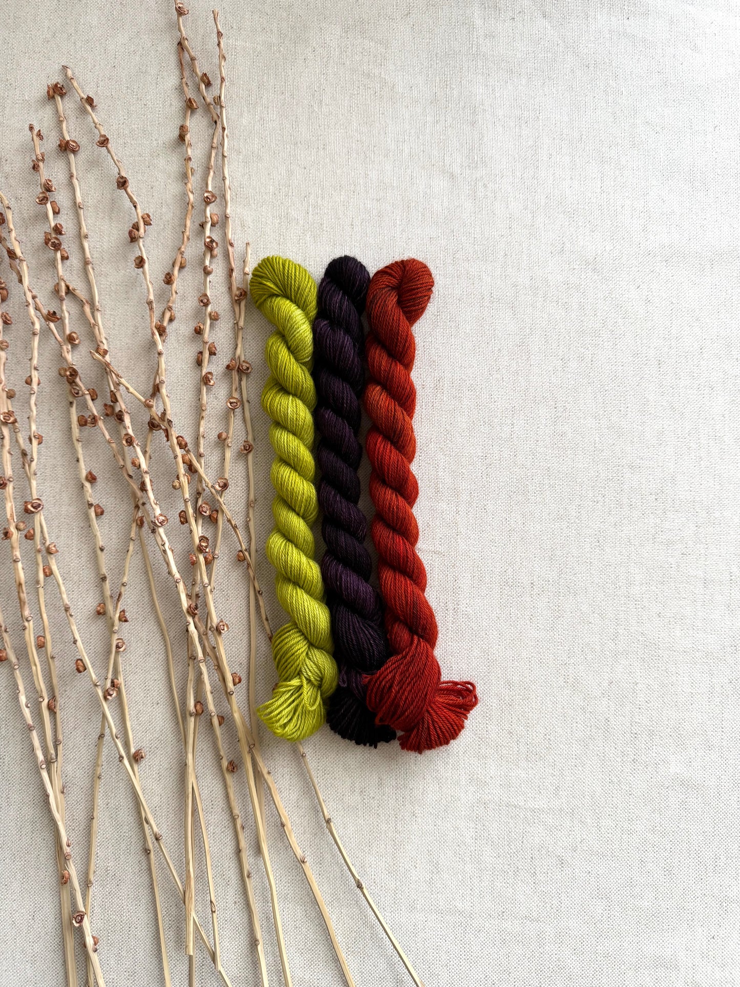 Esme - Team Witch Gnome Mini Skein Set
