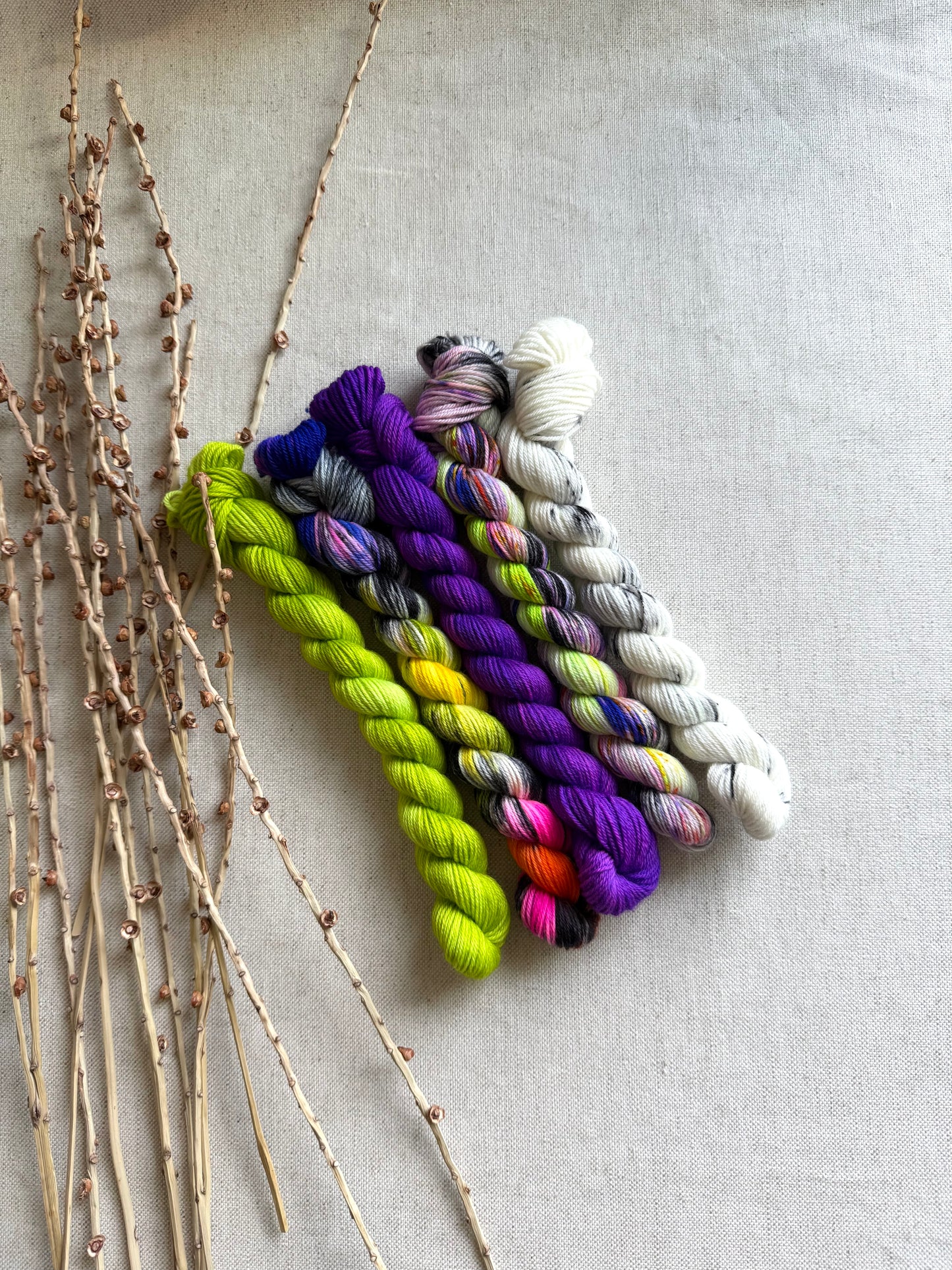 She Squished The Witch - SW Merino Nylon Mini Skein Set
