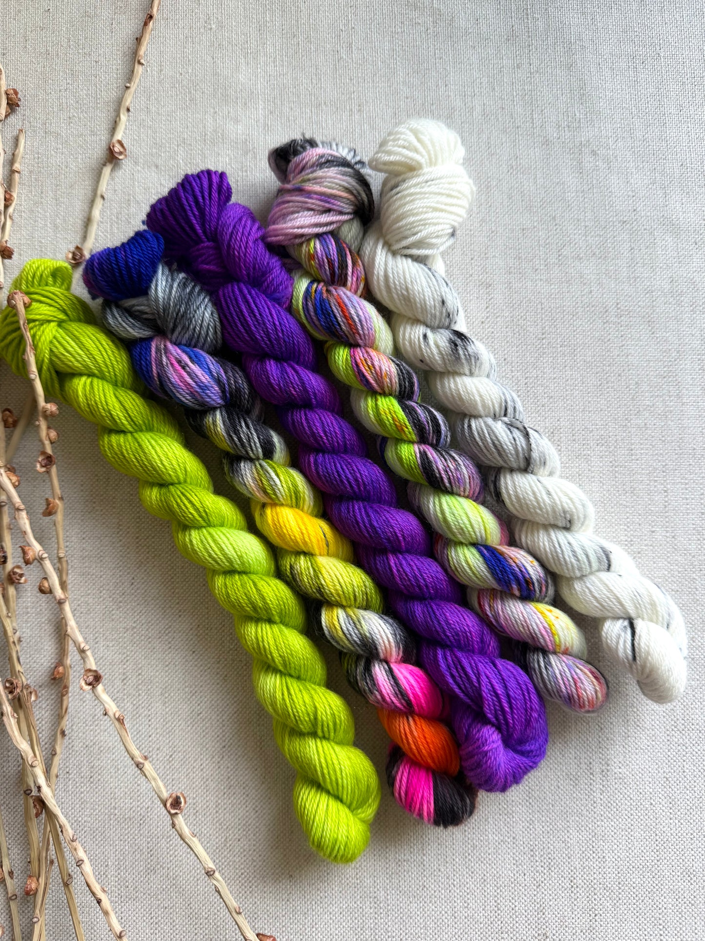 She Squished The Witch - SW Merino Nylon Mini Skein Set