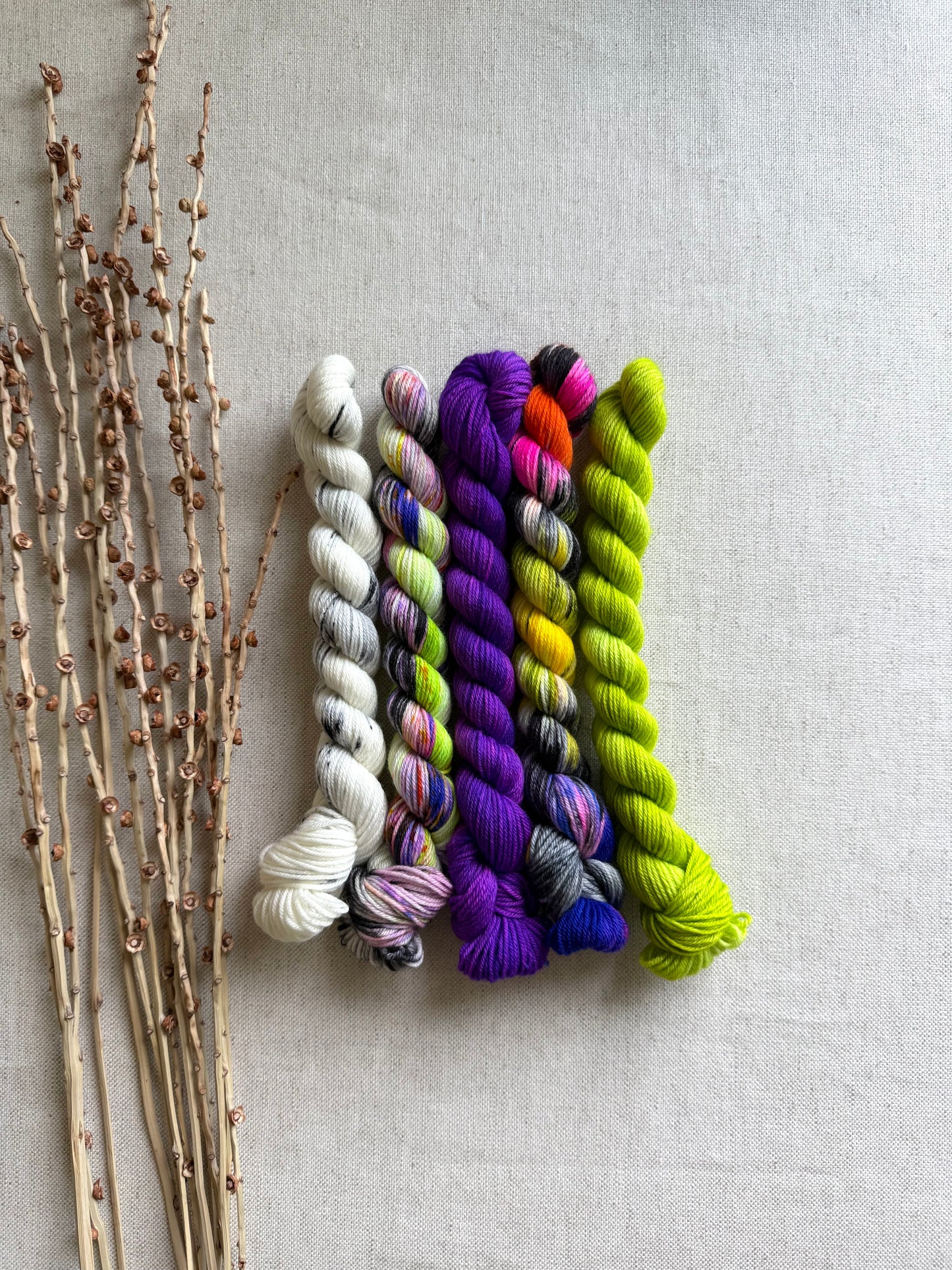 She Squished The Witch - SW Merino Nylon Mini Skein Set