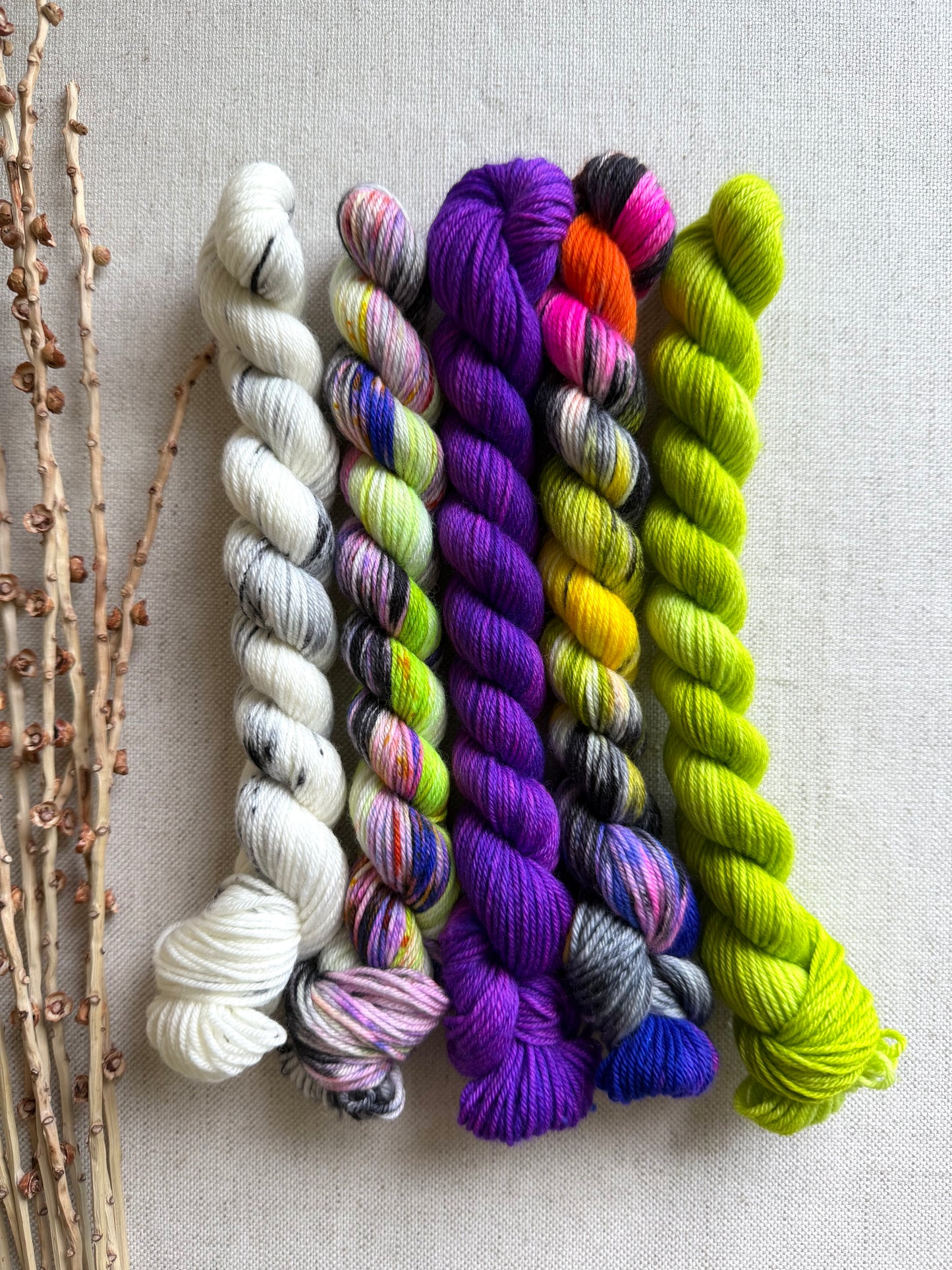 She Squished The Witch - SW Merino Nylon Mini Skein Set