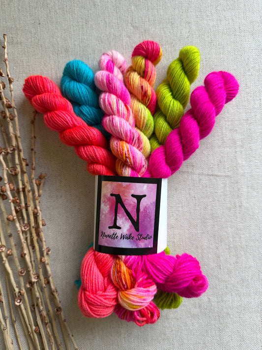 South Pacific - SW Merino Nylon Mini Skein Set