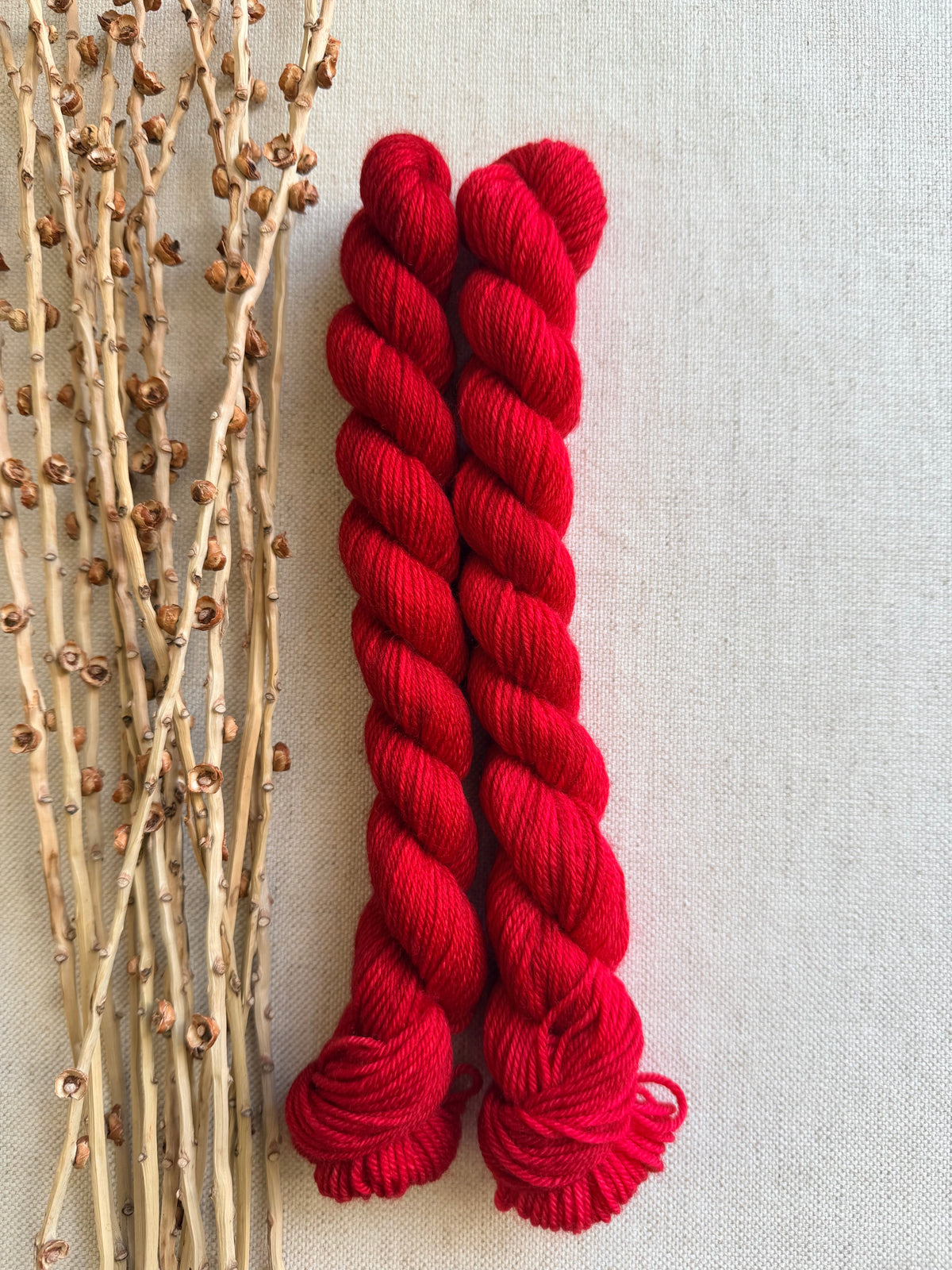 Poinsettia  - Soft Sock Mini