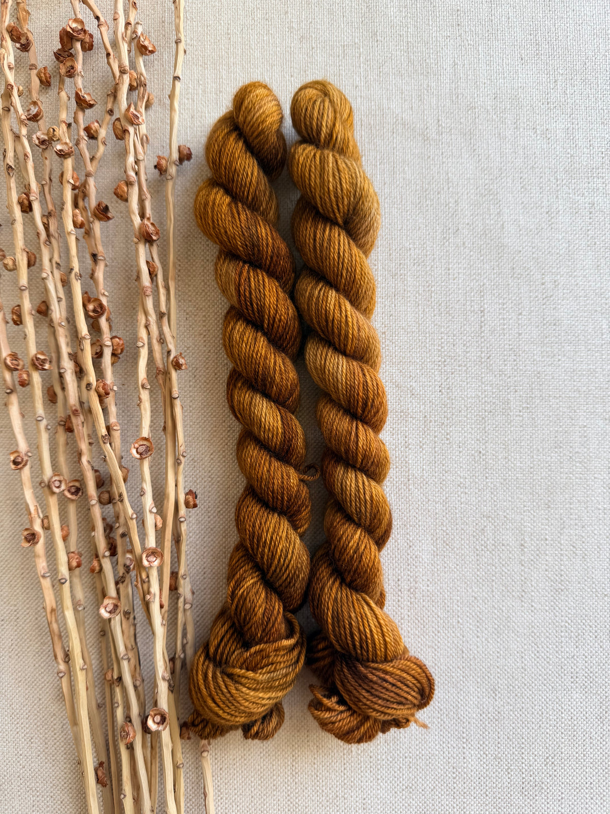 Gilded - Soft Sock Mini Skein