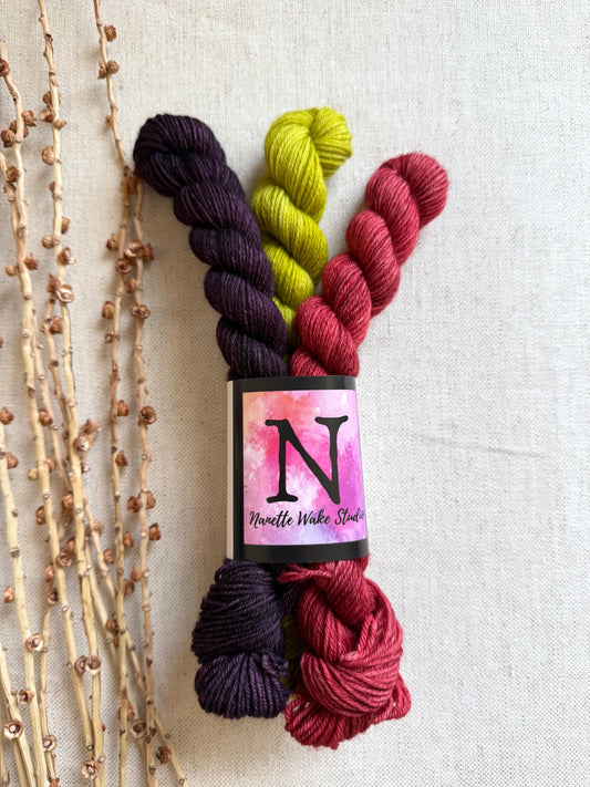Esme - Team Witch Gnome Mini Skein Set