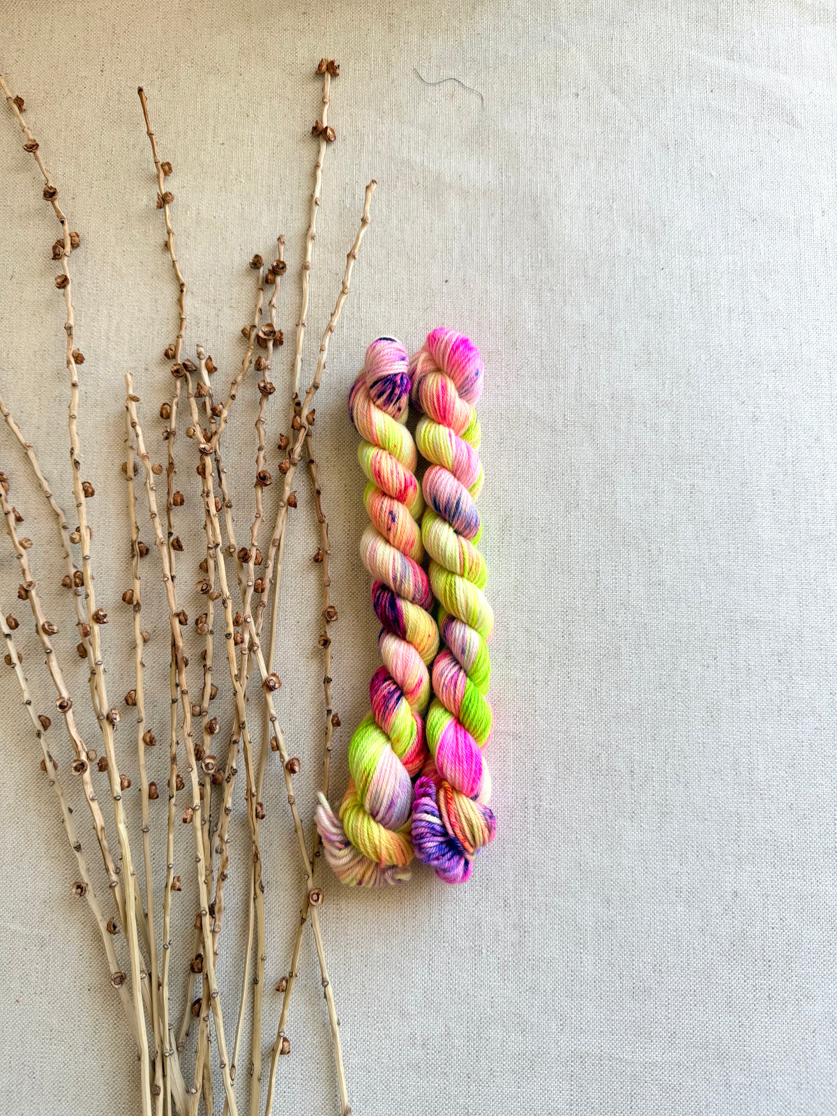 Watermelon Toss - Soft Sock Mini