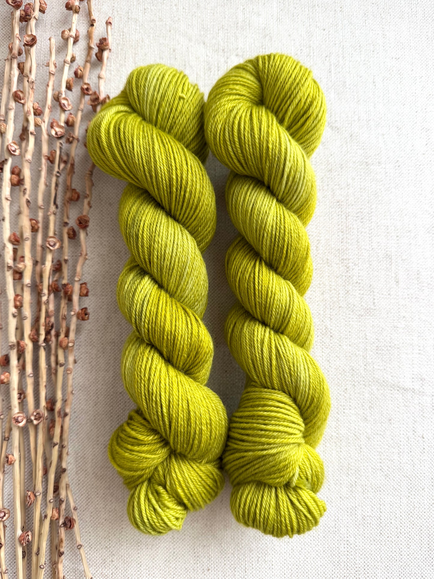 Martini Olive SW Merino Nylon 50g Skein