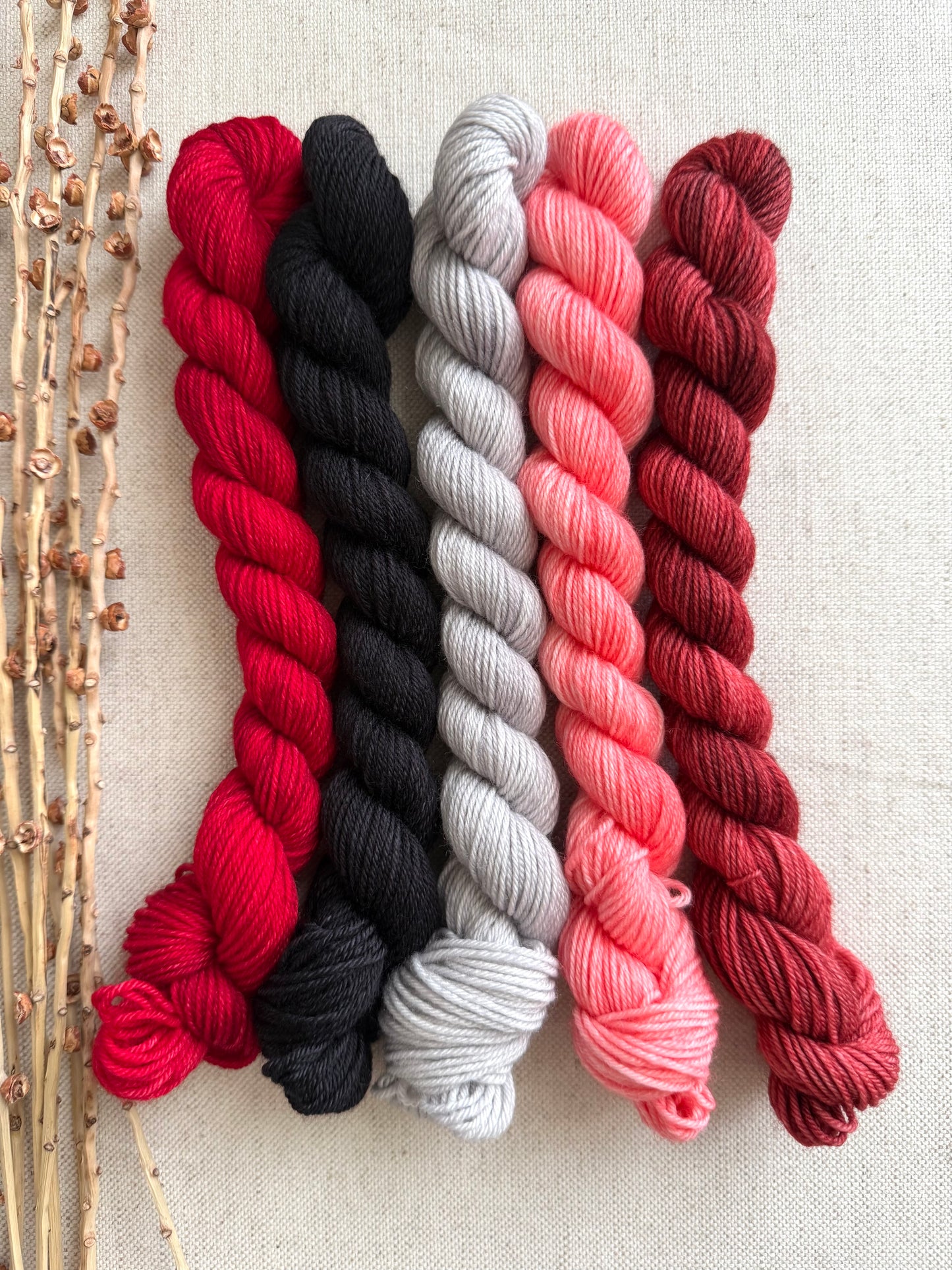 El Mirage - SW Merino Nylon Mini Skein Set