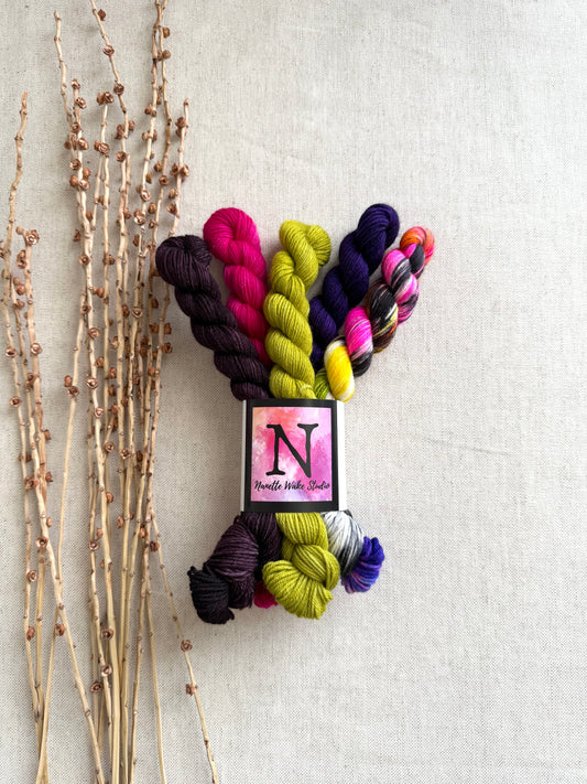 Zesty - SW Merino Nylon Mini Skein Set