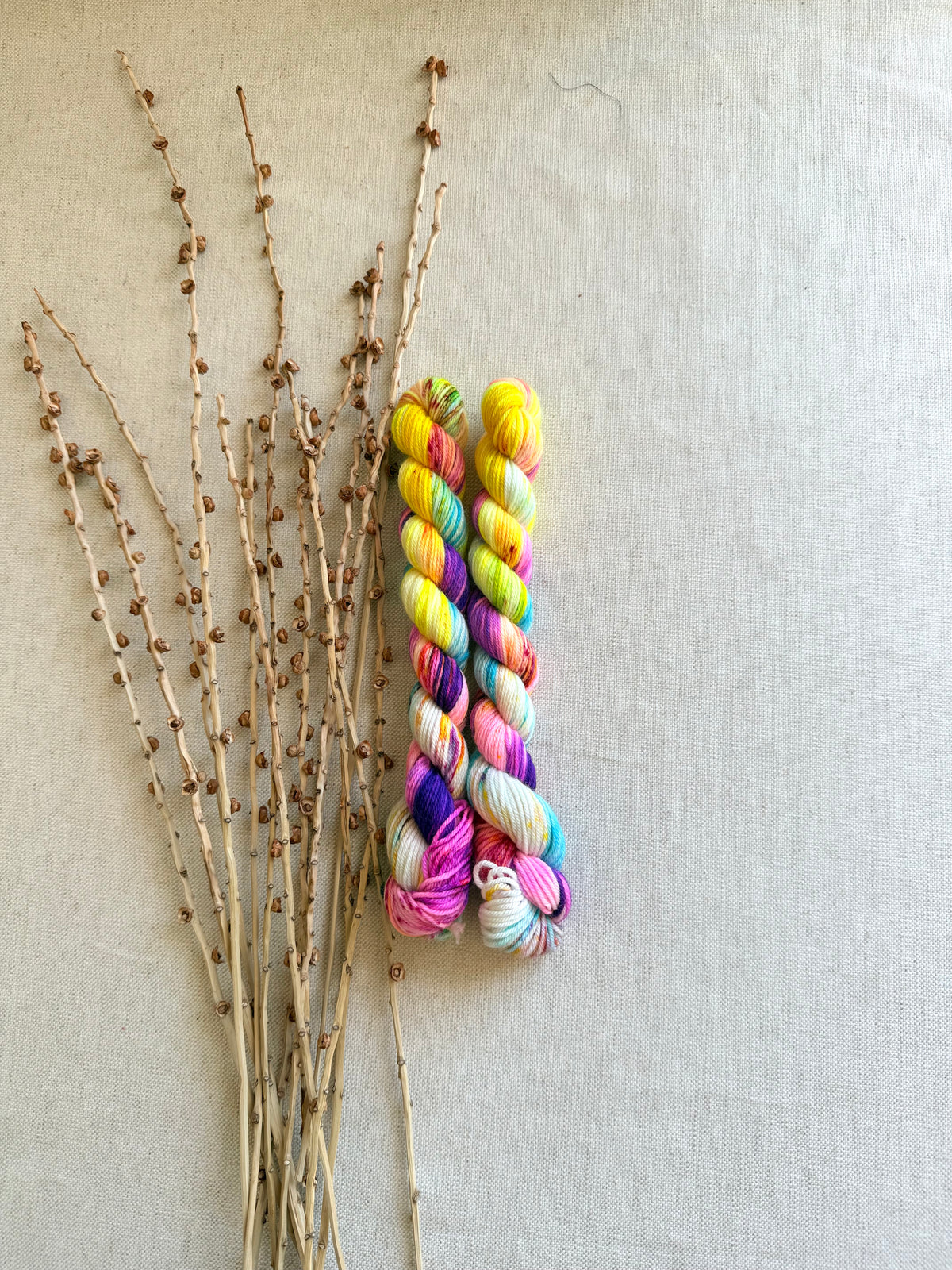 Carousel - SW Merino Nylon Mini Skein Set