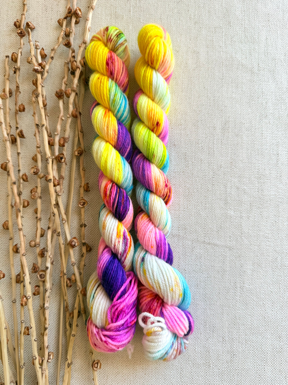 Carousel - SW Merino Nylon Mini Skein Set