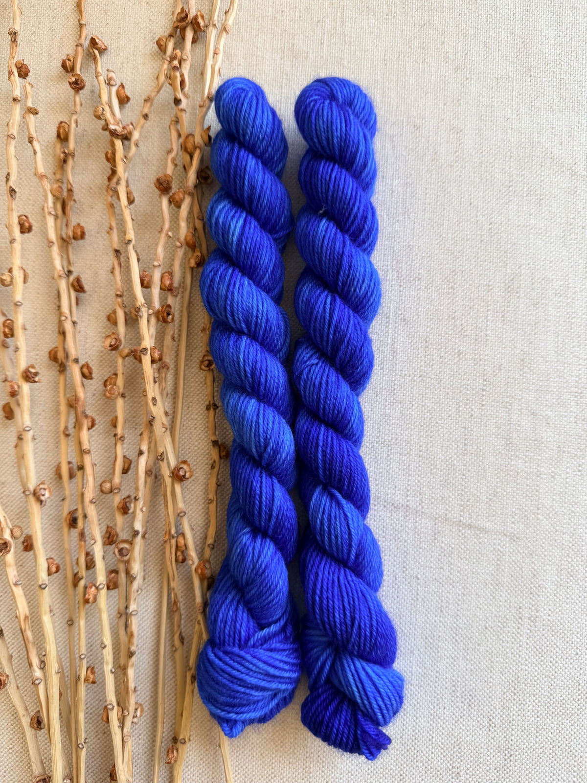 Royal - Soft Sock Mini