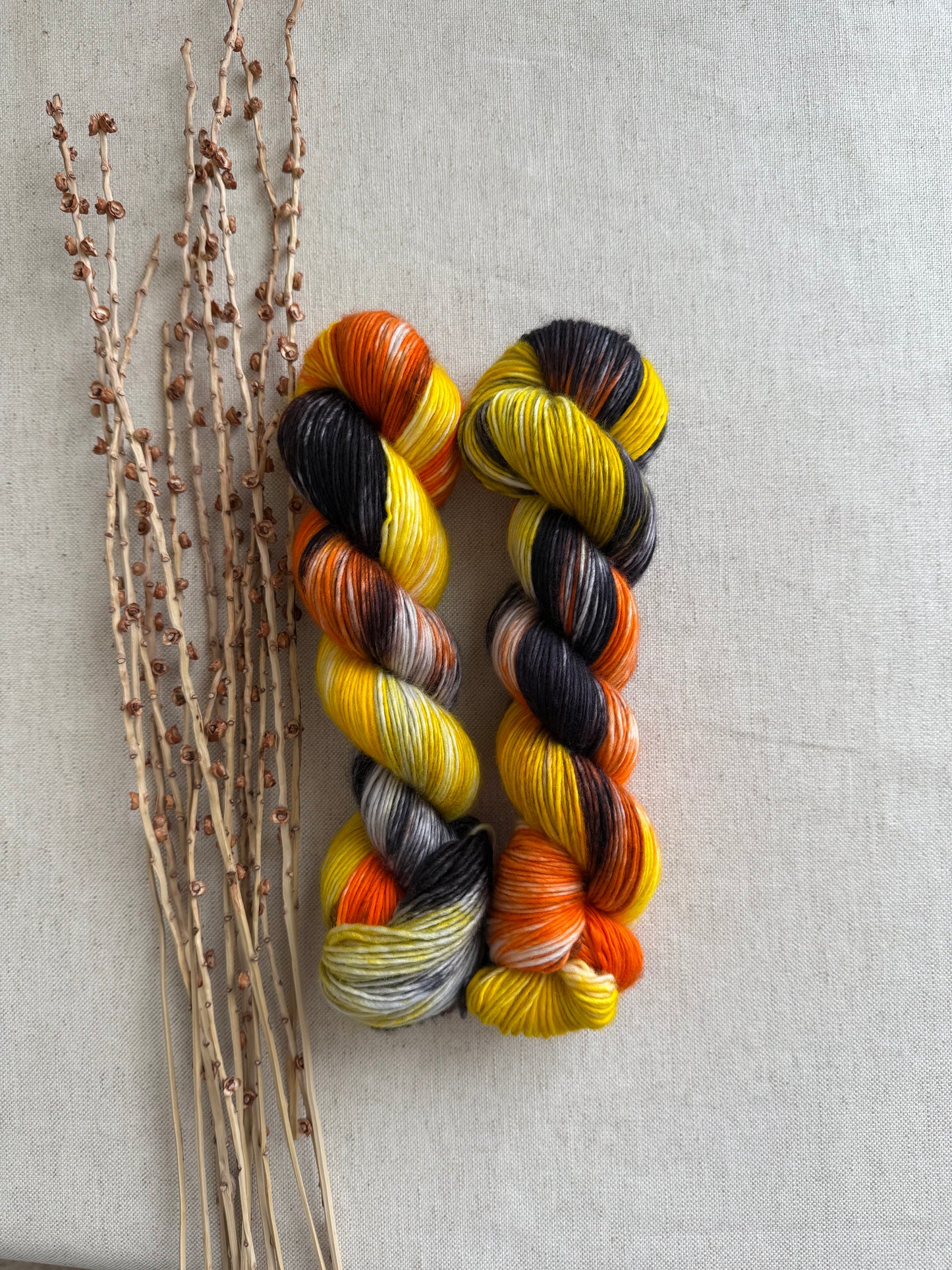 Licorice Twist 100% SW Merino DK