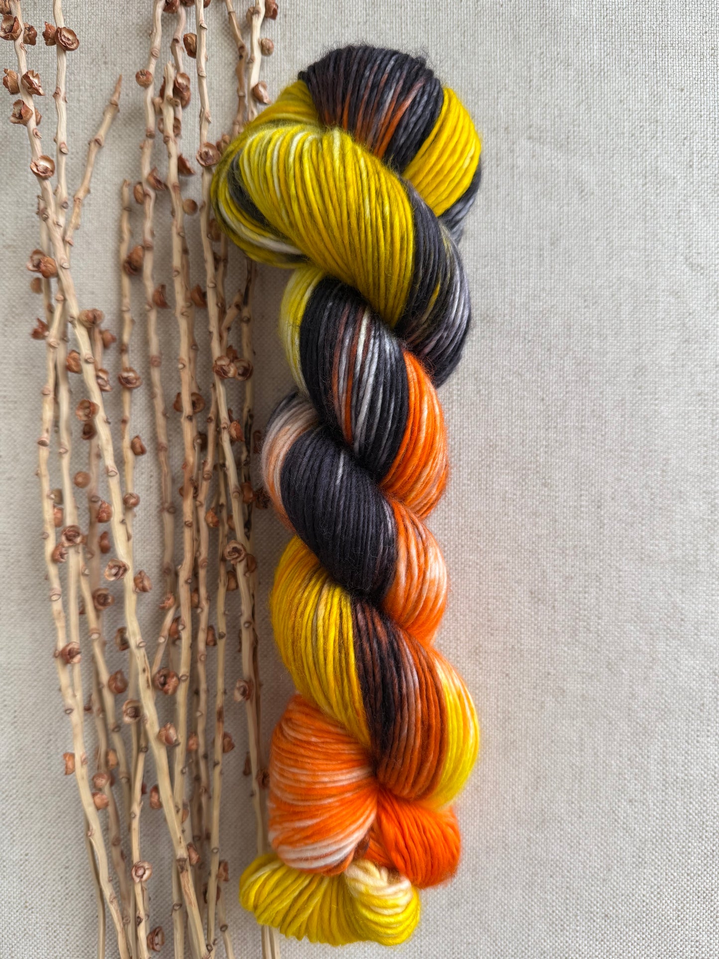 Licorice Twist 100% SW Merino DK