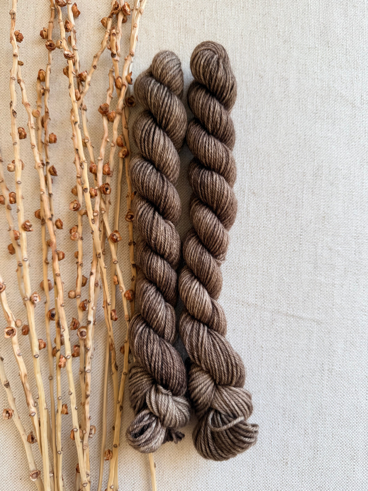 Pecan - Soft Sock Mini
