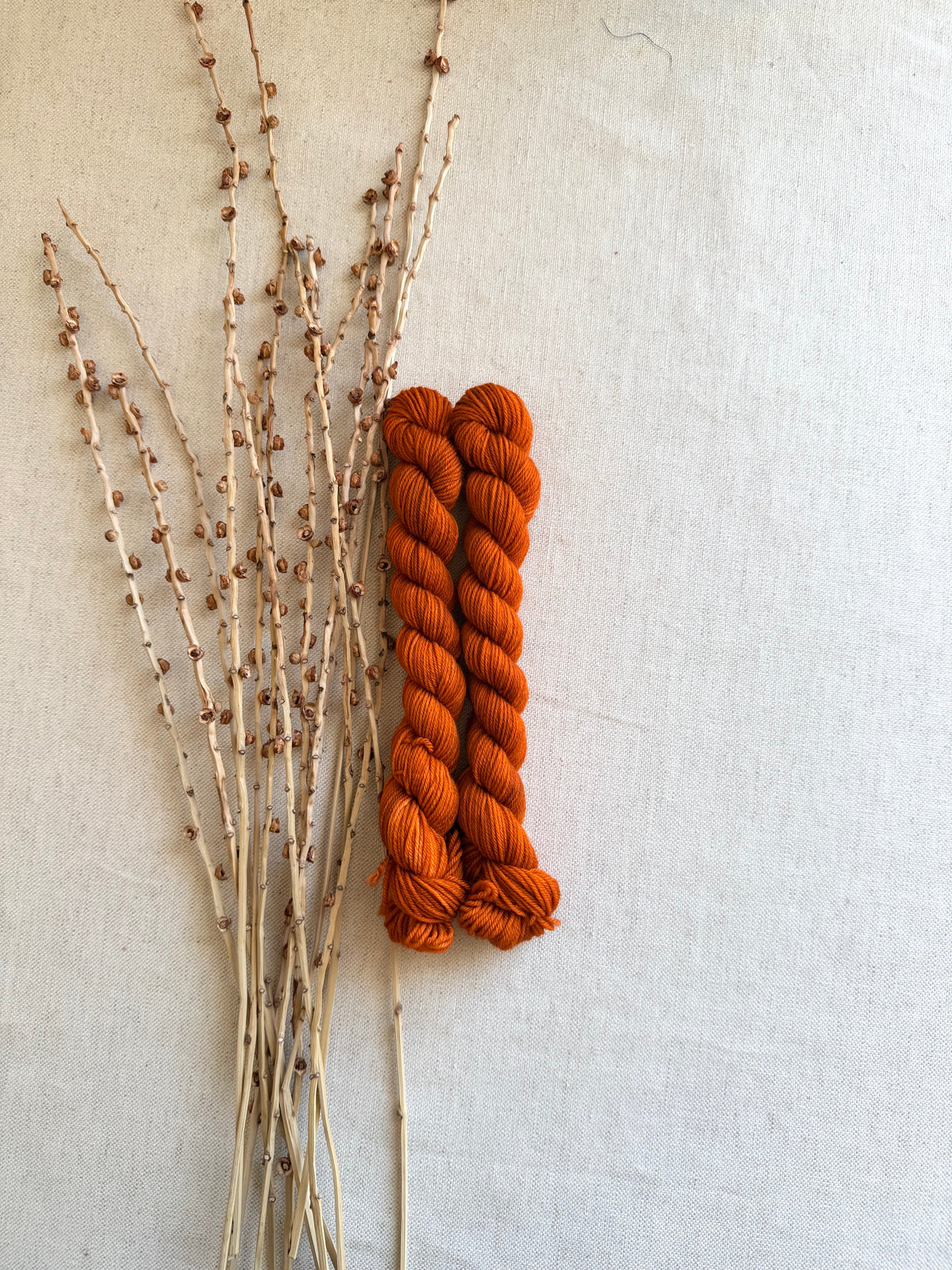 Spiced Pumpkin - Soft Sock Mini