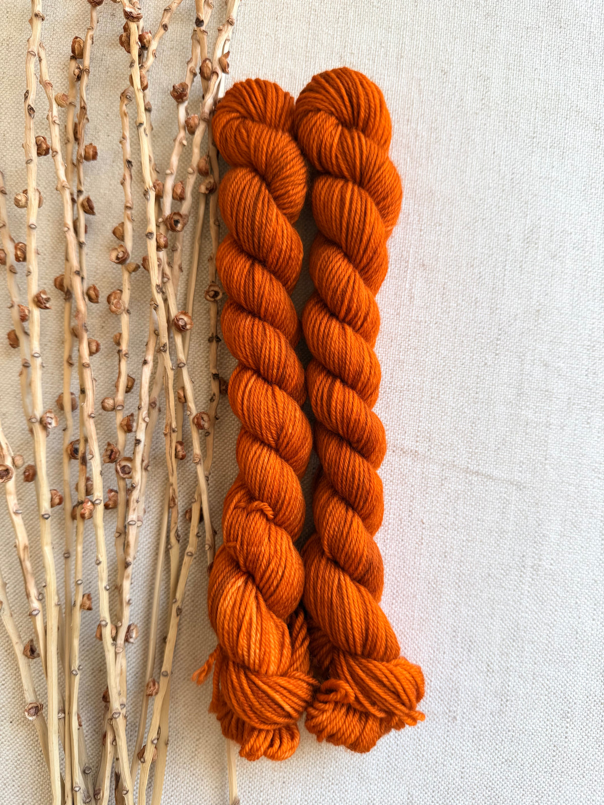 Spiced Pumpkin - Soft Sock Mini
